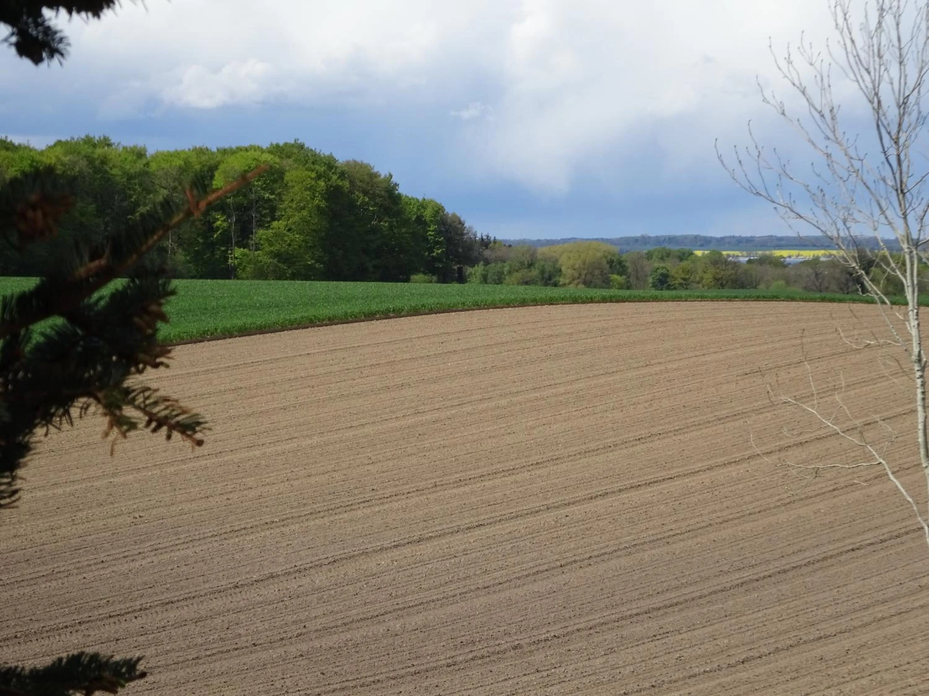 Natural landscape in Peanuts Hostel & Meer