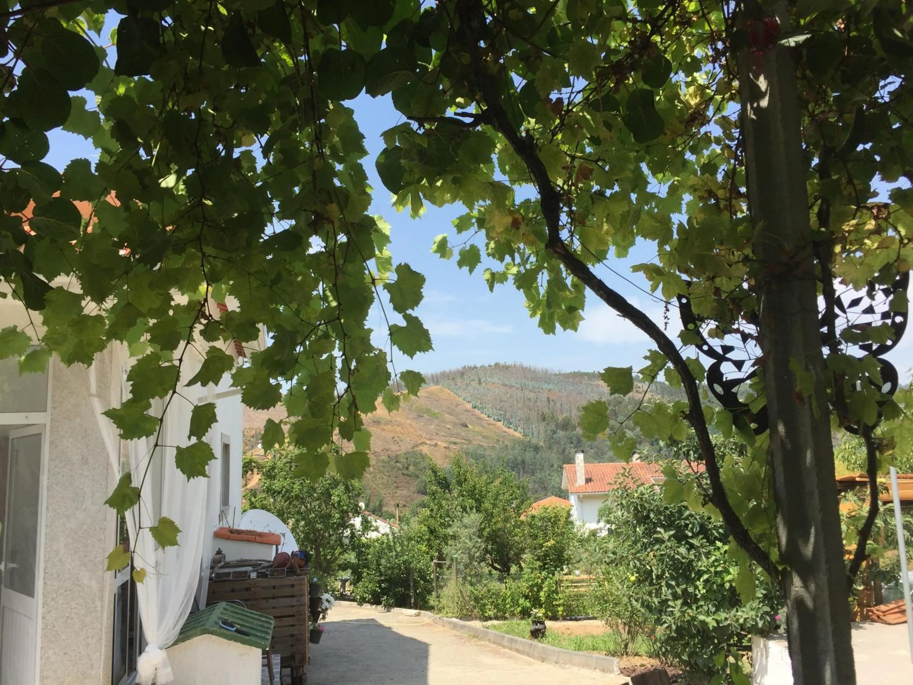 Garden in Casa Traca