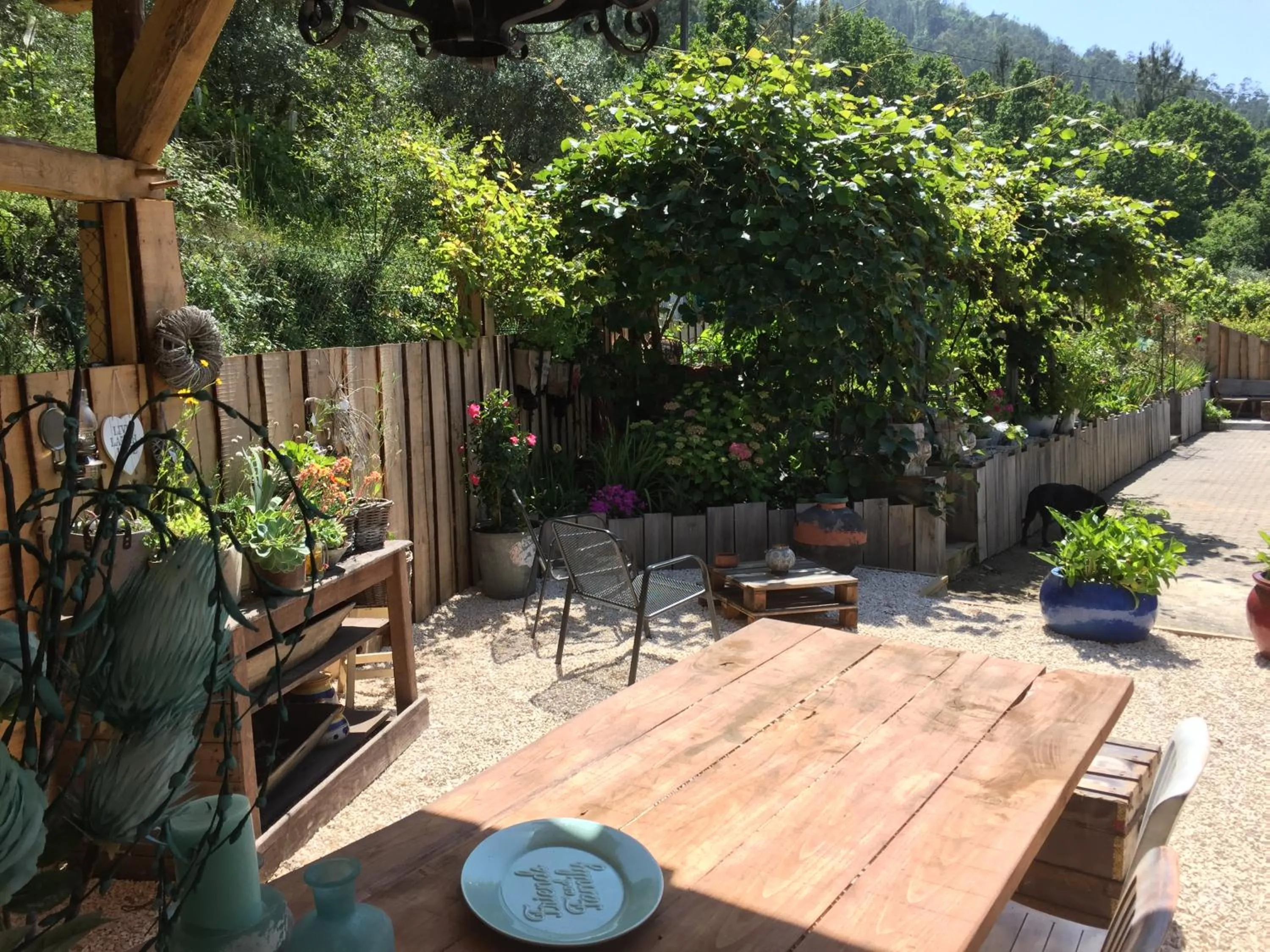 Garden in Casa Traca