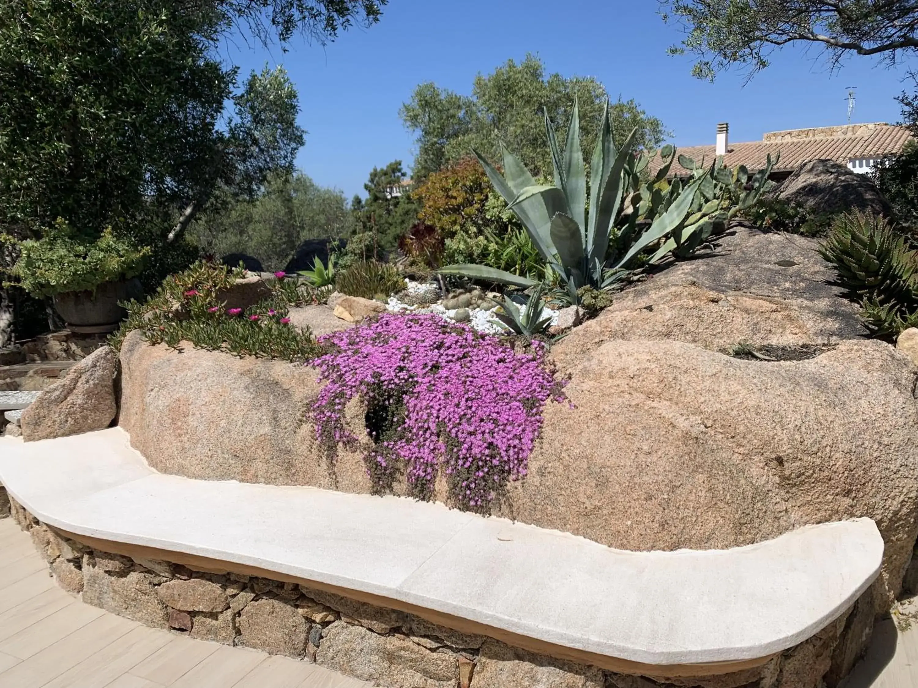 L'Olivastro Appartamenti a Porto Cervo L'Olivastro Appartamenti a Porto Cervo