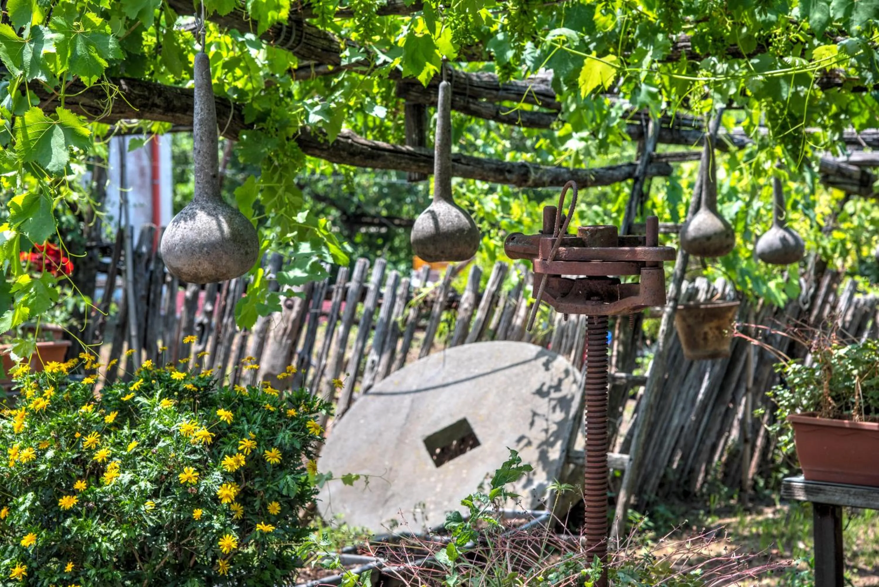 Garden in Casa Nannina
