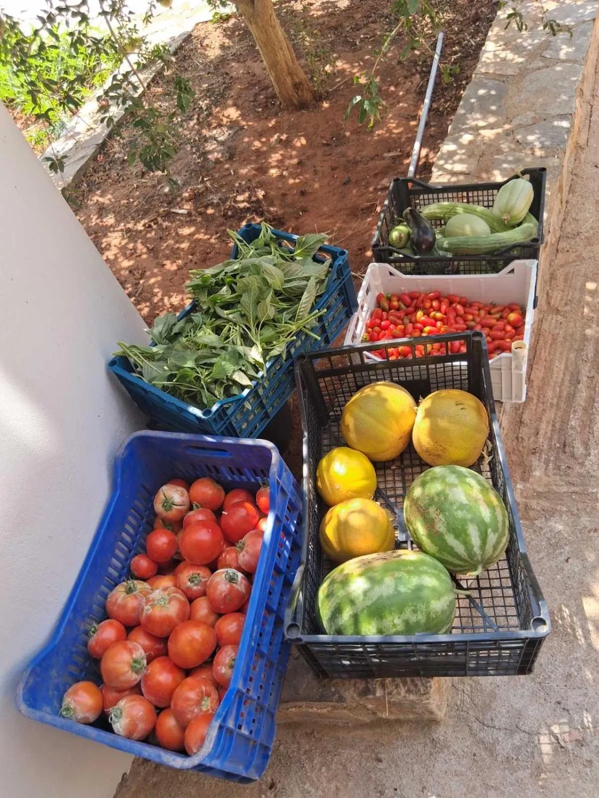 Garden in The Noverian Scenic Crete 5 Star Hilltop Villa Resort & Spa