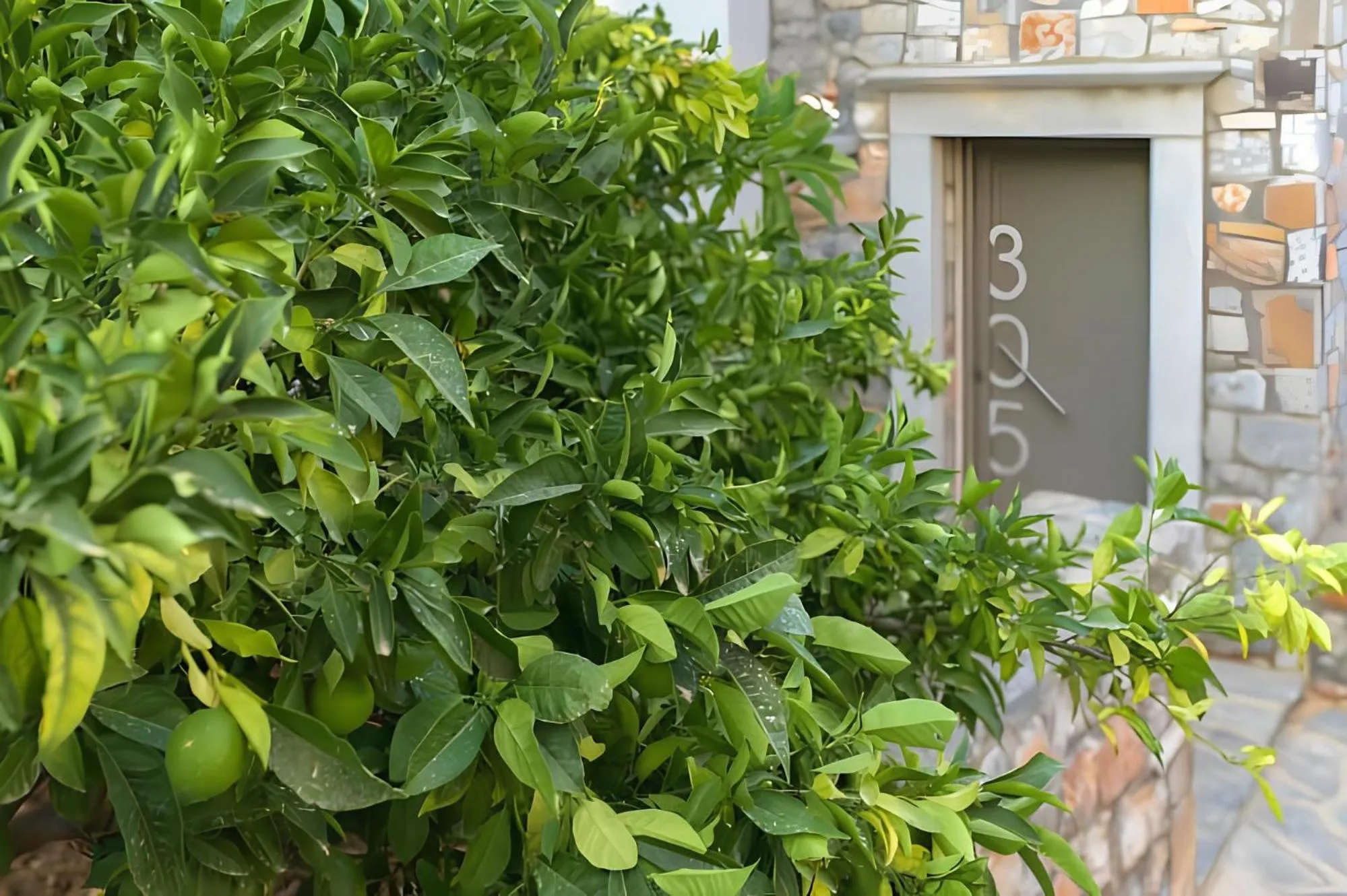 Property building in The Noverian Scenic Crete 5 Star Hilltop Villa Resort & Spa