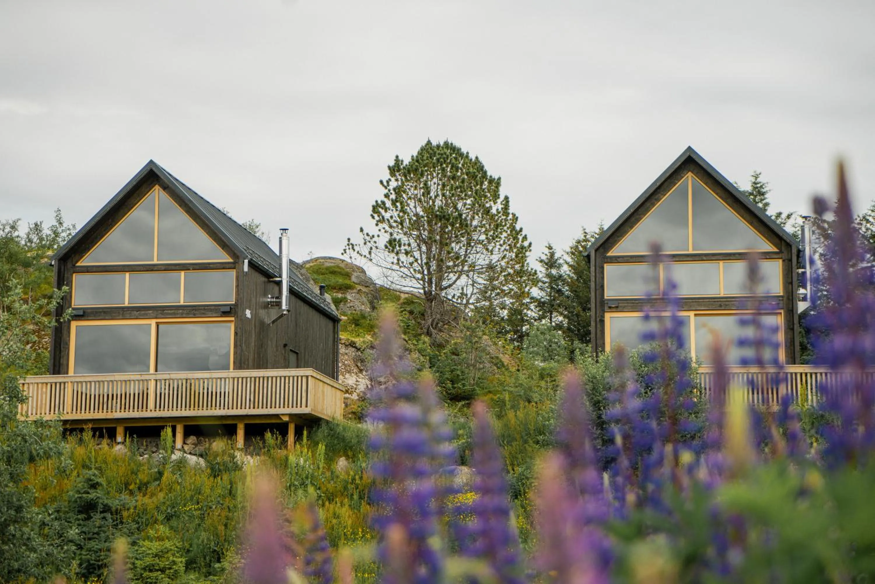 Natural landscape in Skårungen - Hotel, Cabins and Camping