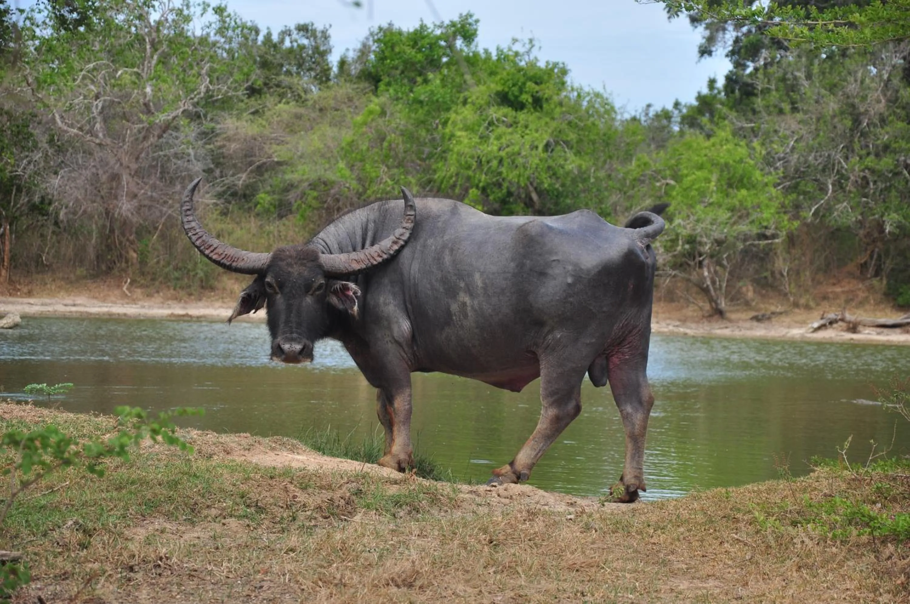 Off site in Shim Beach Resort