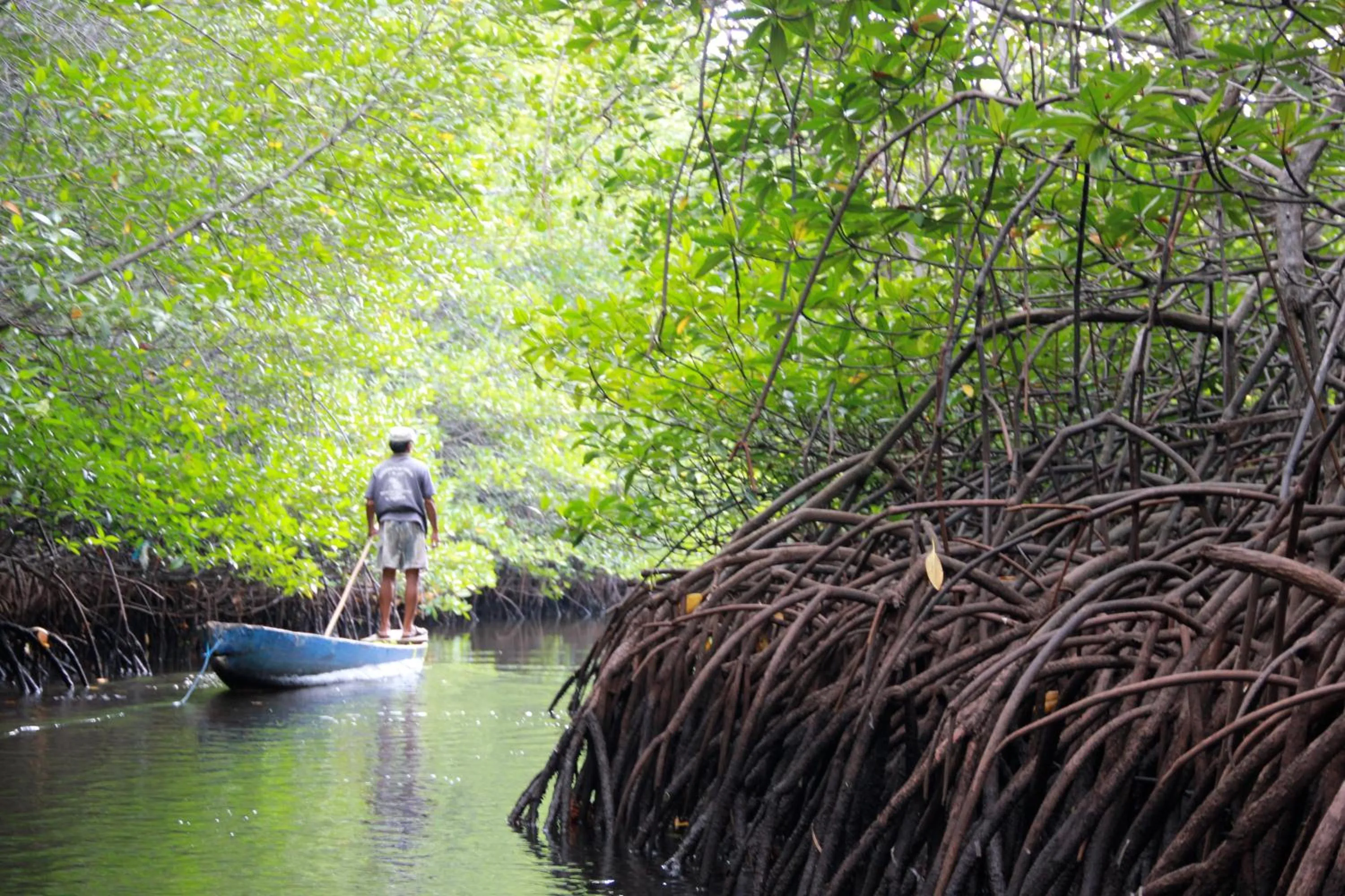 Activities in Chillhouse Lembongan