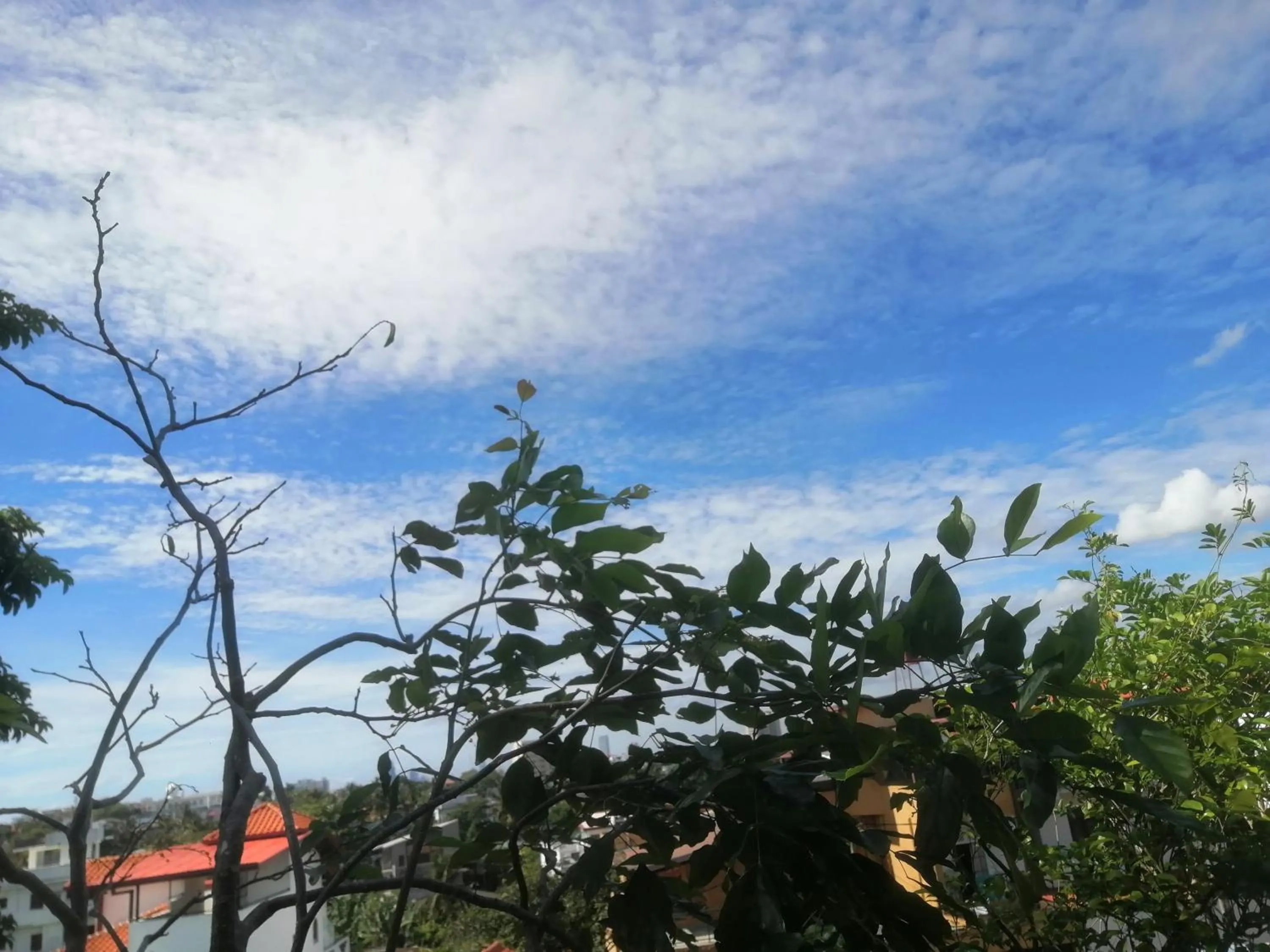 View (from property/room) in Sithila Villa