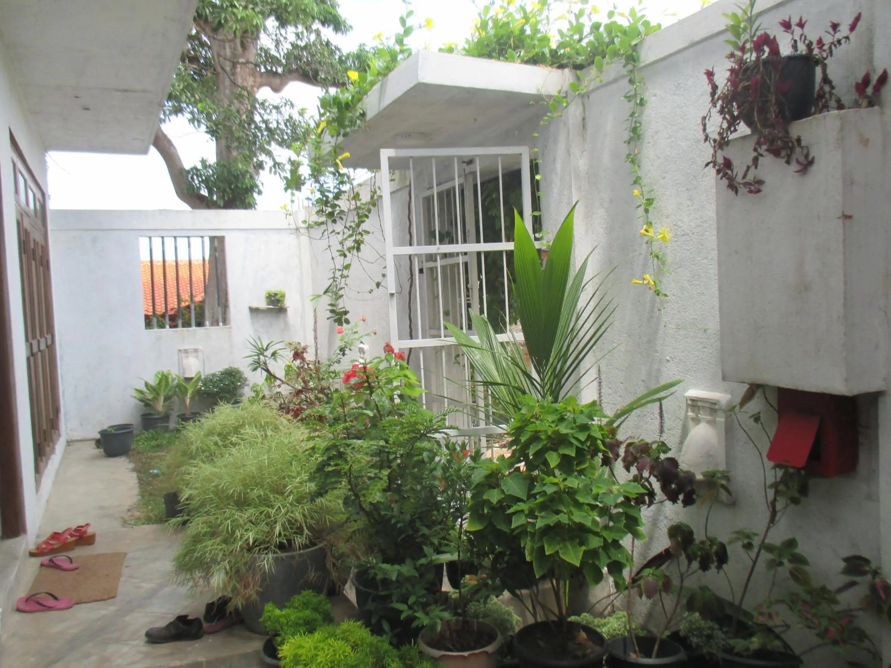 Garden in Sithila Villa