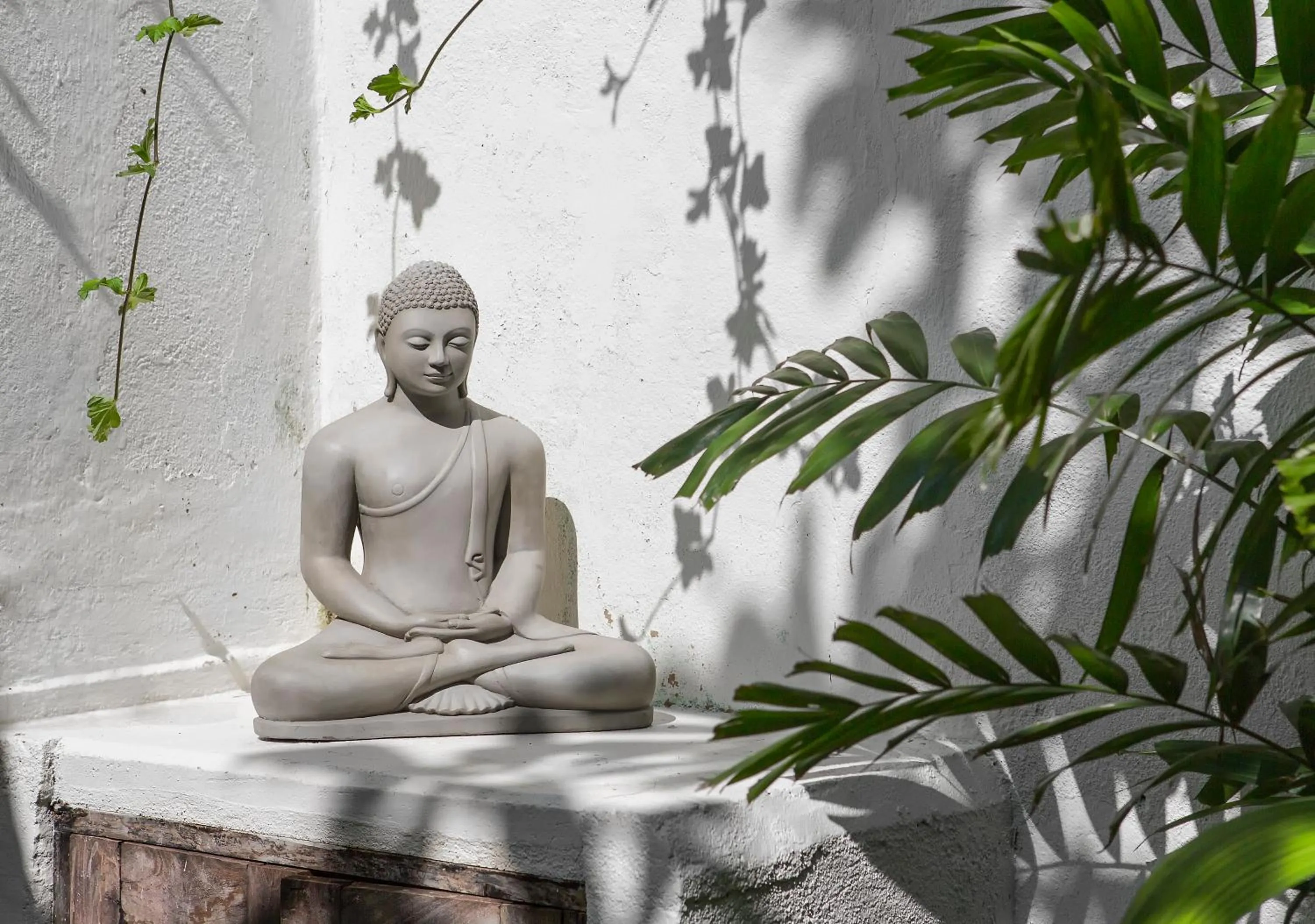 Decorative detail in Thambili House by Edwards Collection - Galle Fort