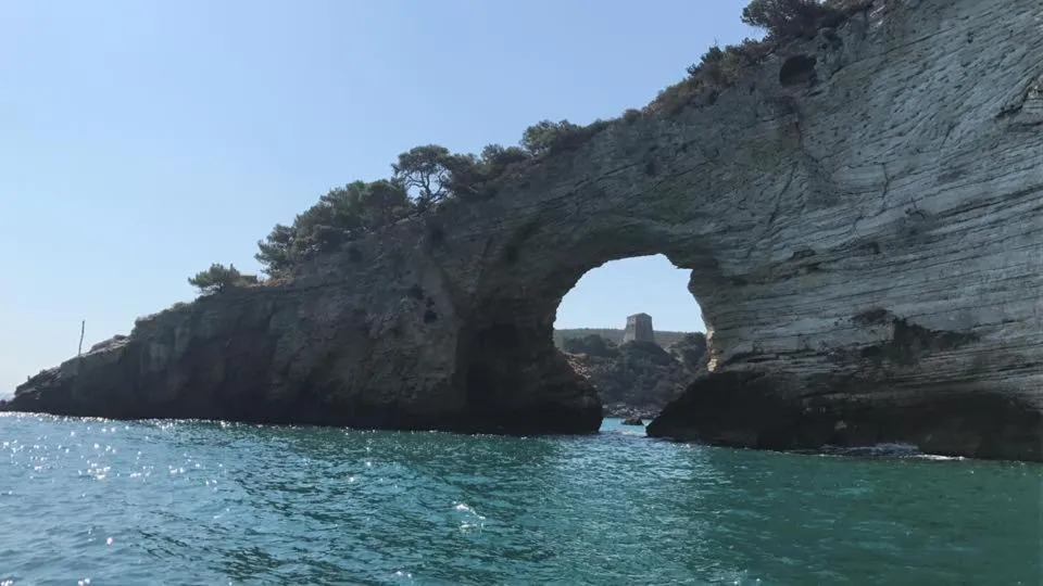 Nearby landmark in Hotel Borgo Marina