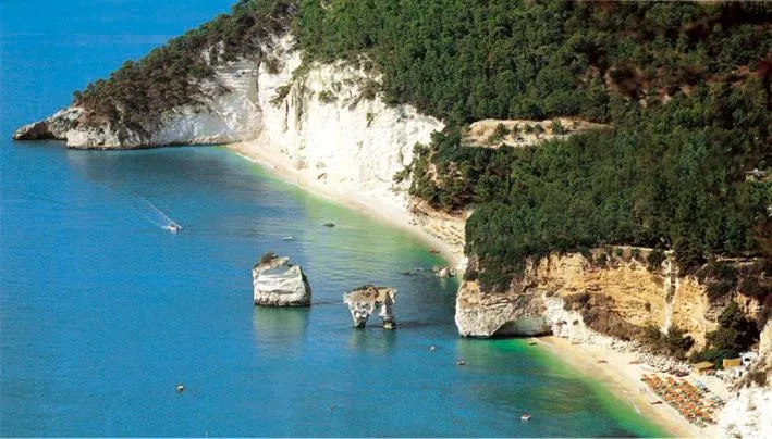 Day in Hotel Borgo Marina