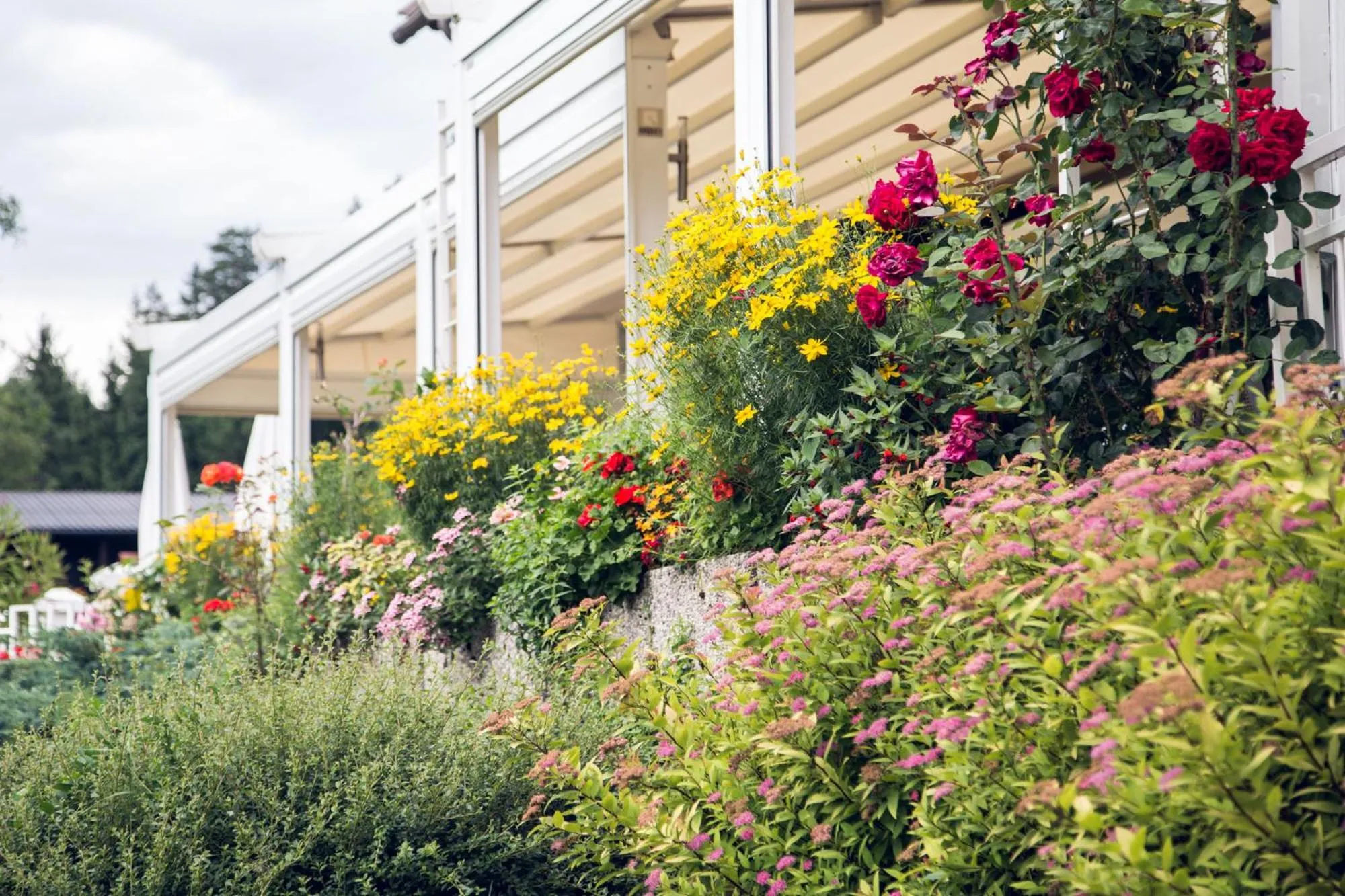 Garden view in Maltschacher Seewirt
