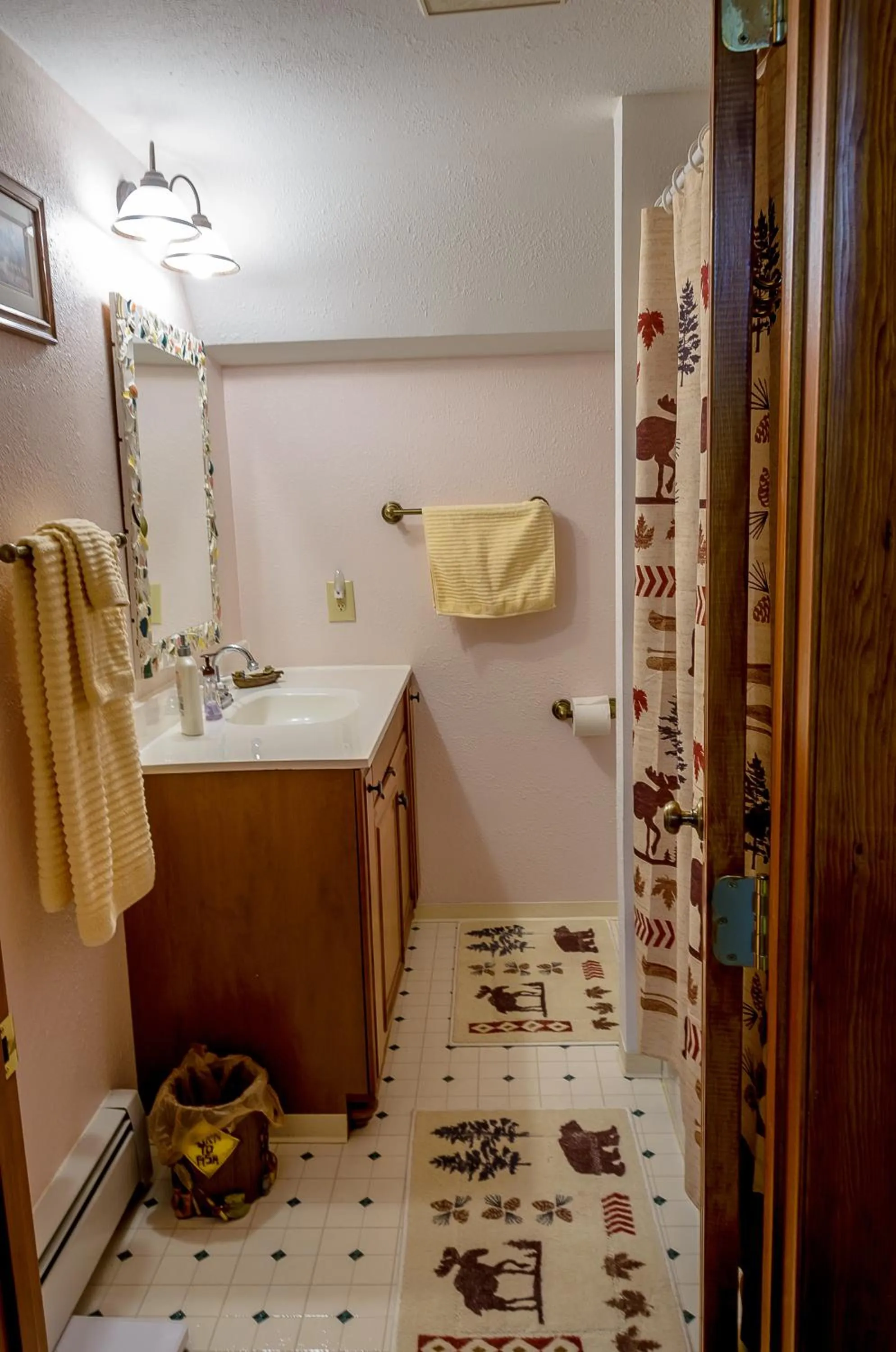 Bathroom in Eagle's Eye Vacation Rentals
