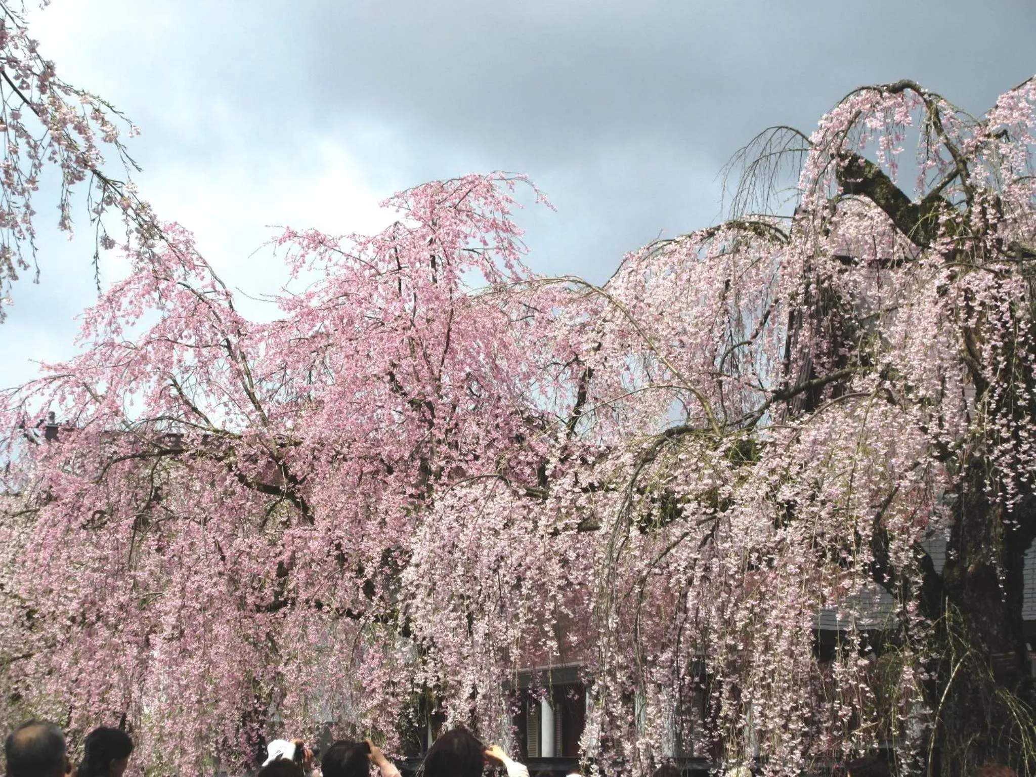 Seasons in Hotel Folkloro Kakunodate