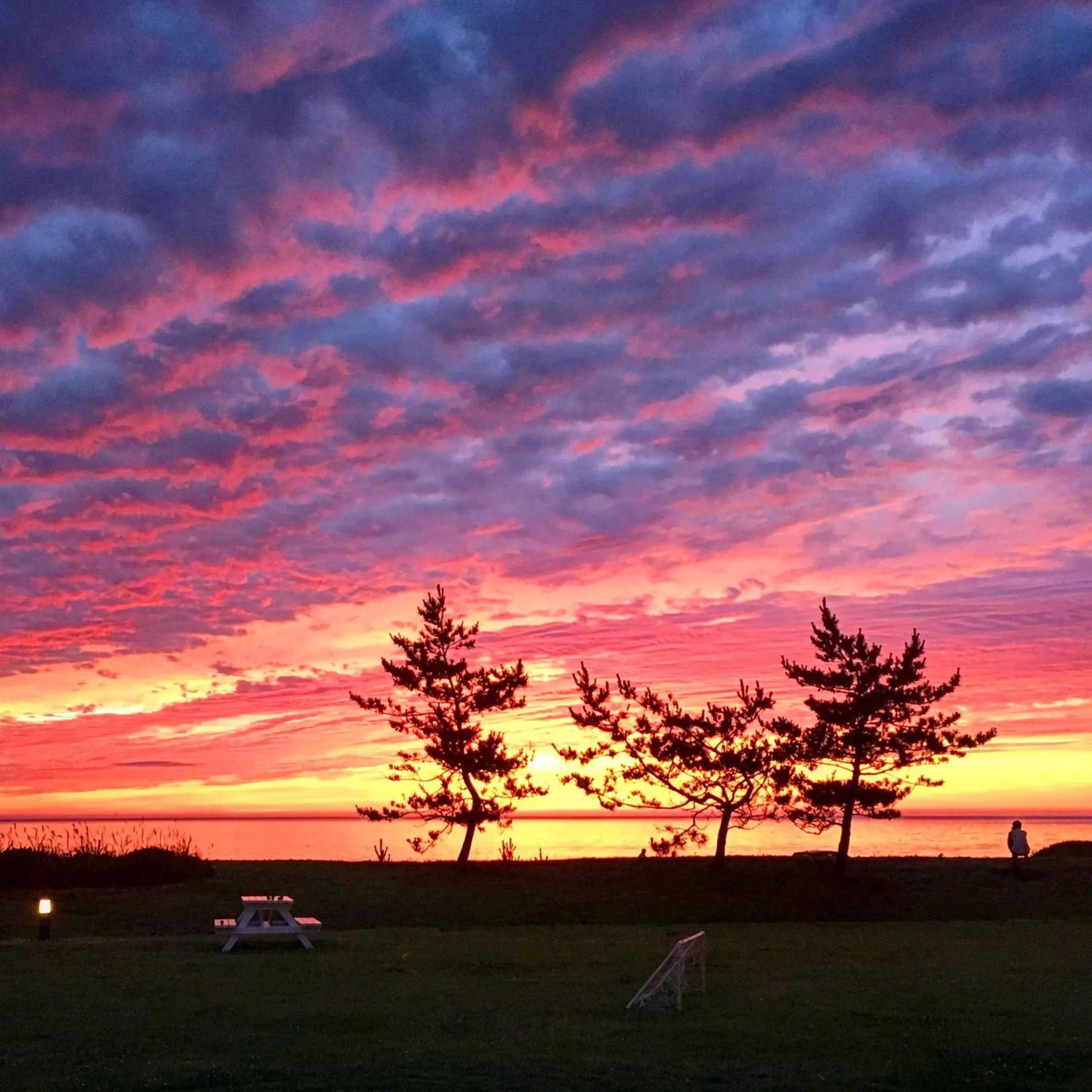 Garden in Hotel Familio Sadoaikawa