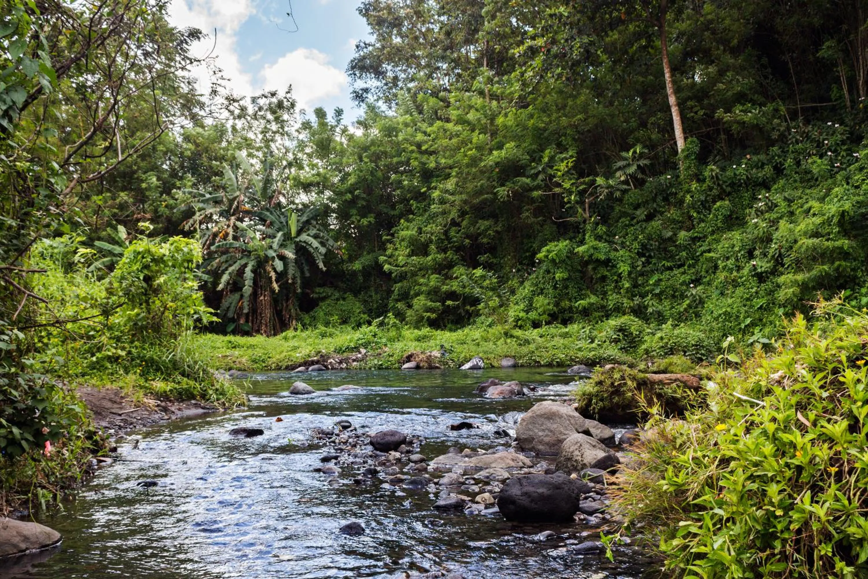 Area and facilities in Villa Alicia