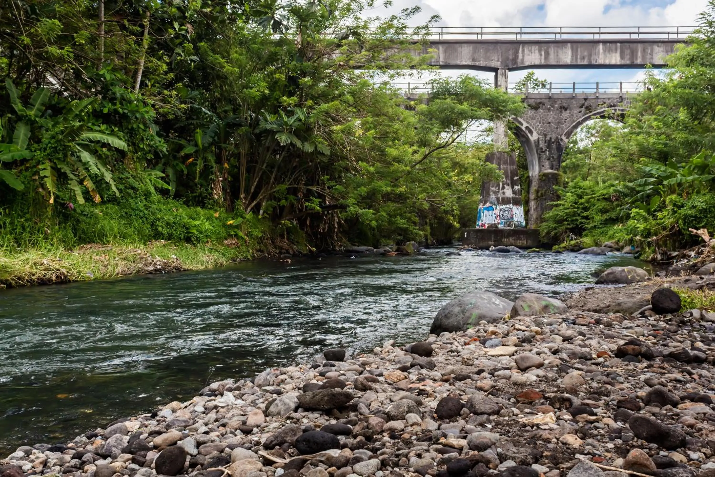 Property building in Villa Alicia