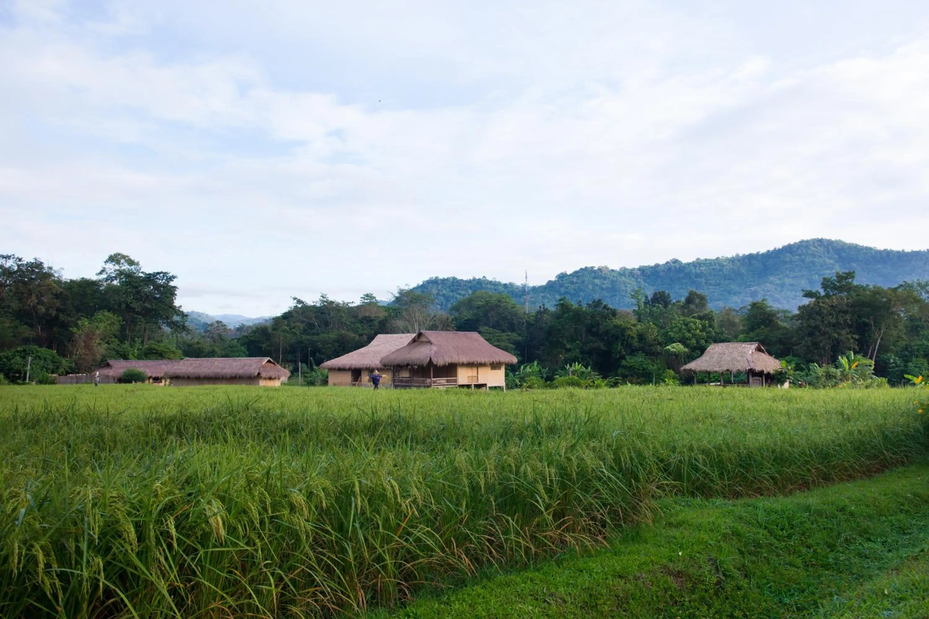 Lisu Lodge