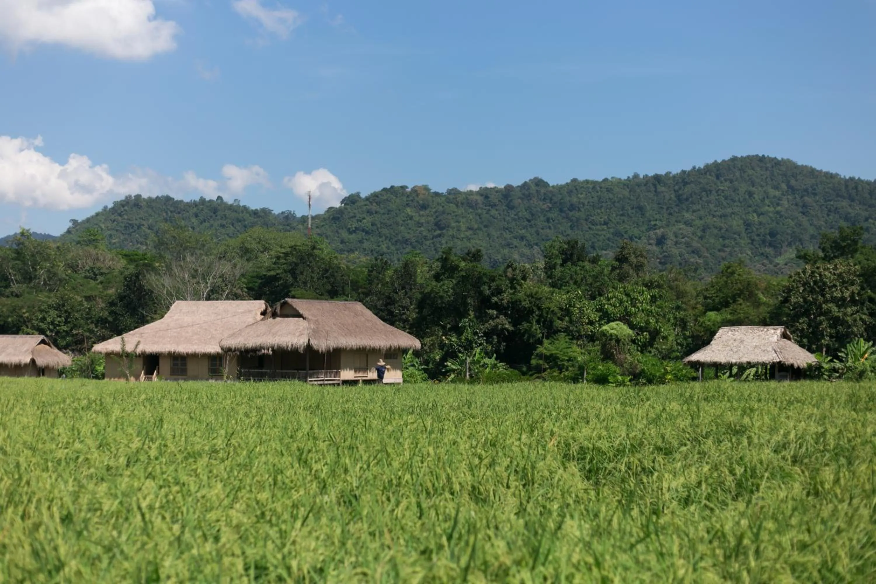 Lisu Lodge