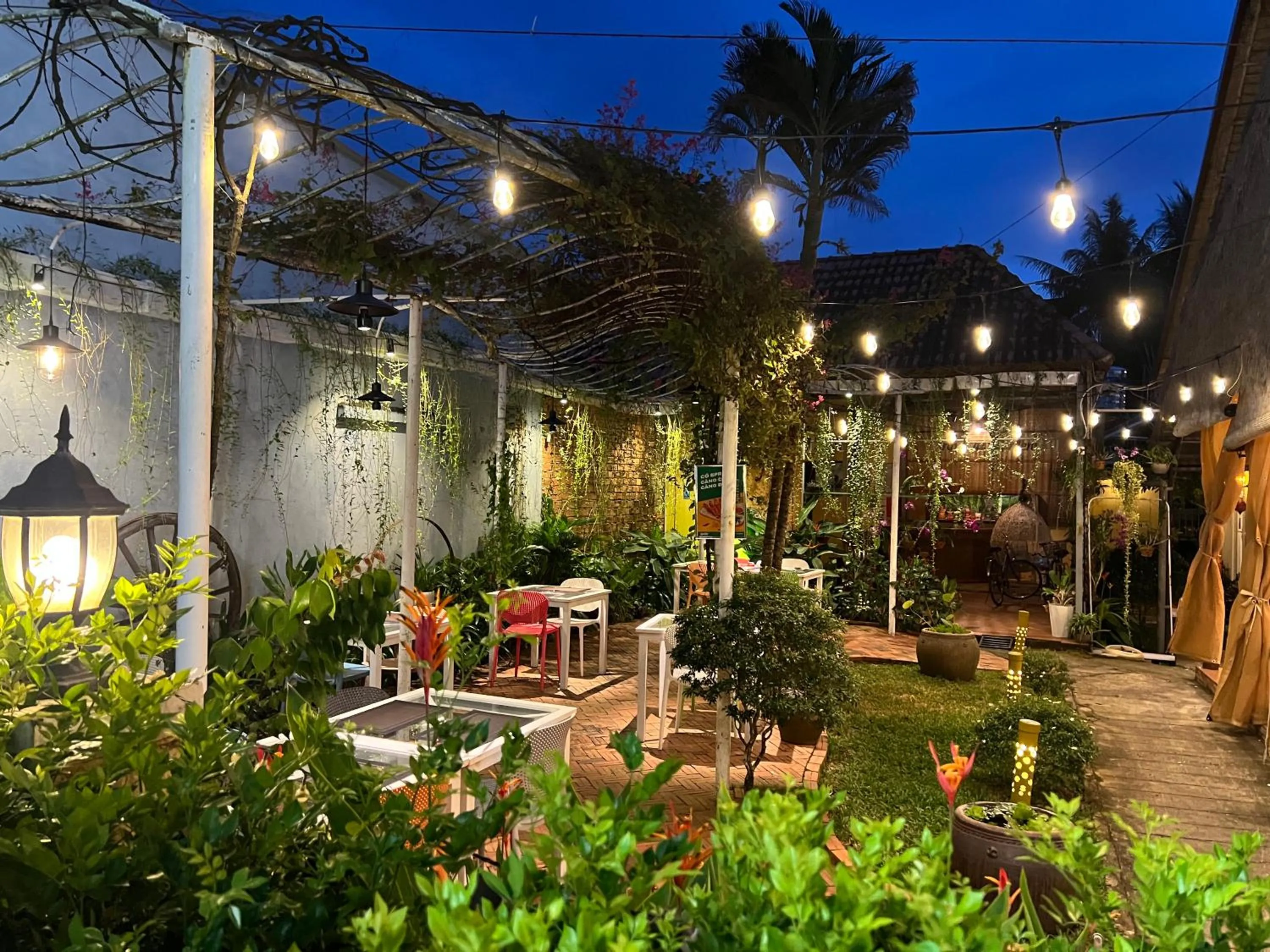 Night in Tropical Garden Phu Quoc