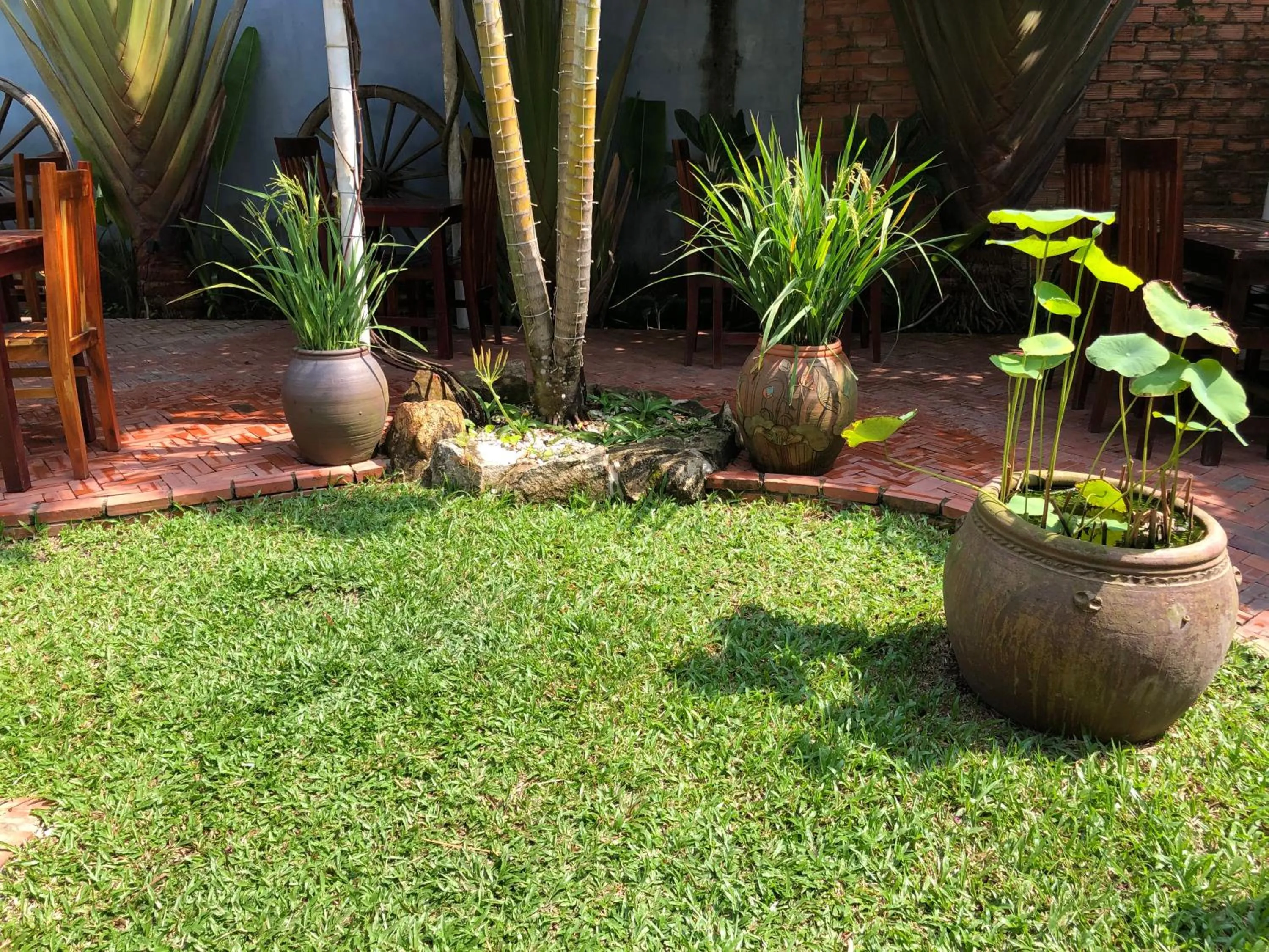 Garden in Tropical Garden Phu Quoc