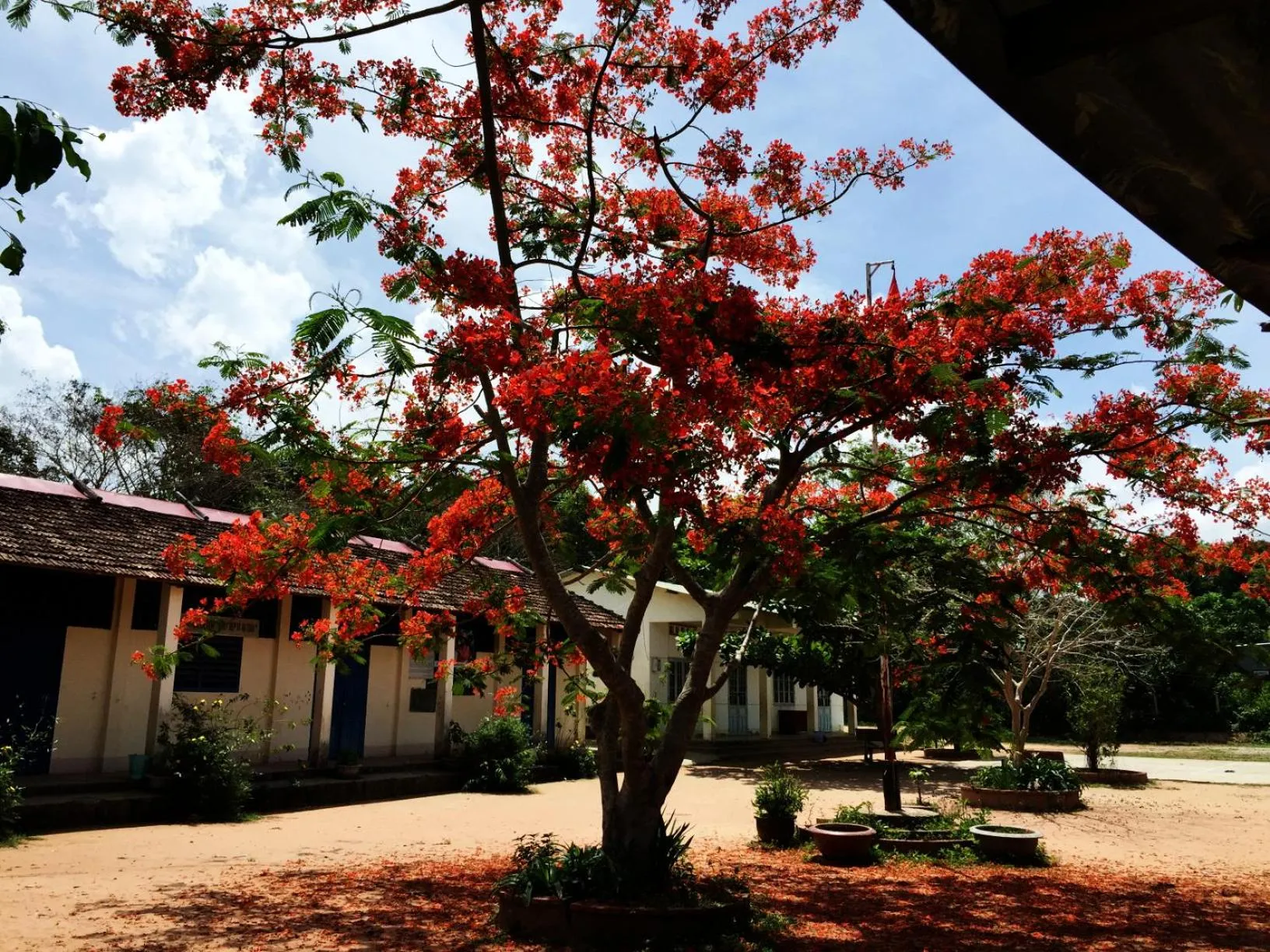 Location in Tropical Garden Phu Quoc