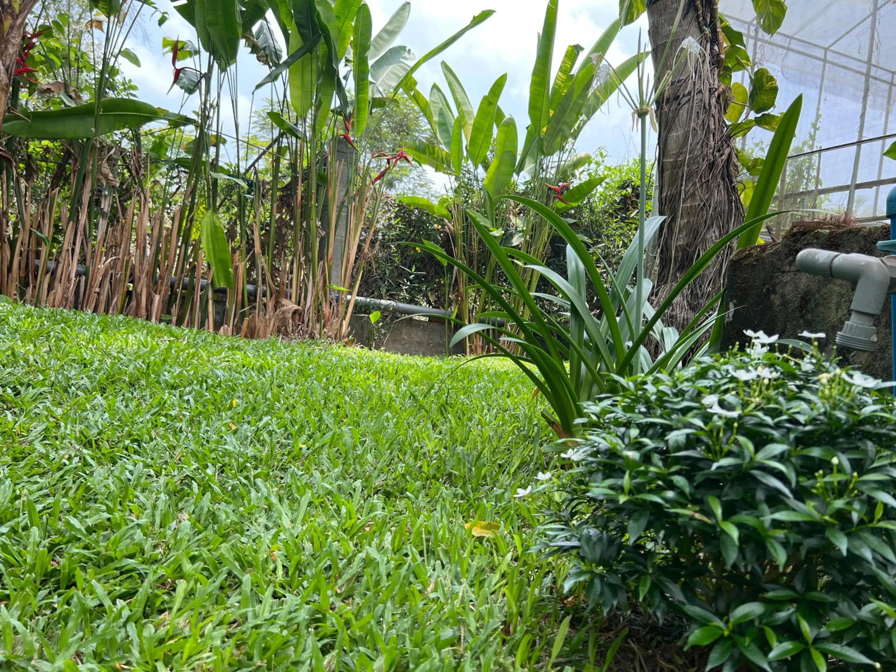 Garden in Tropical Garden Phu Quoc