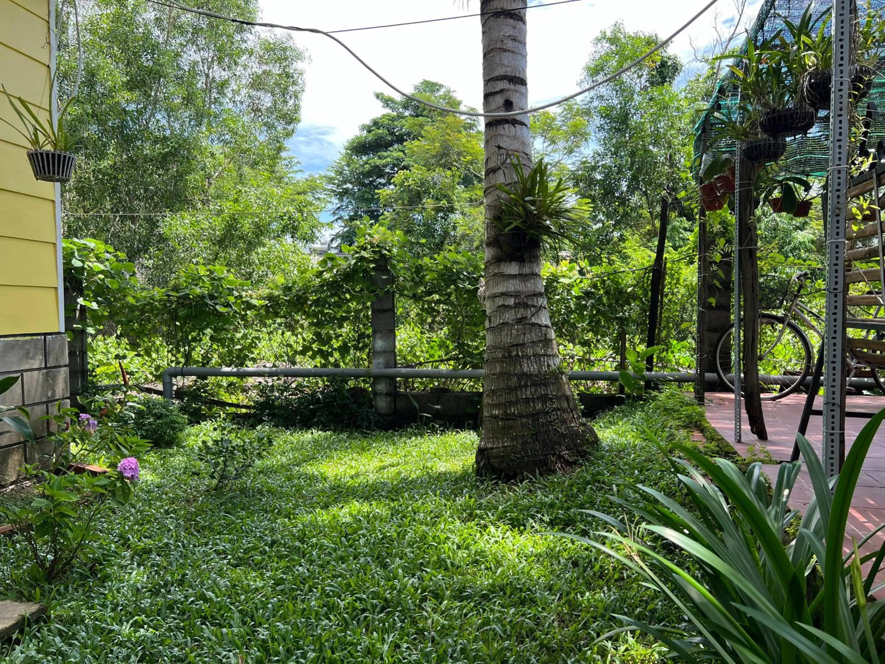 Garden view in Tropical Garden Phu Quoc
