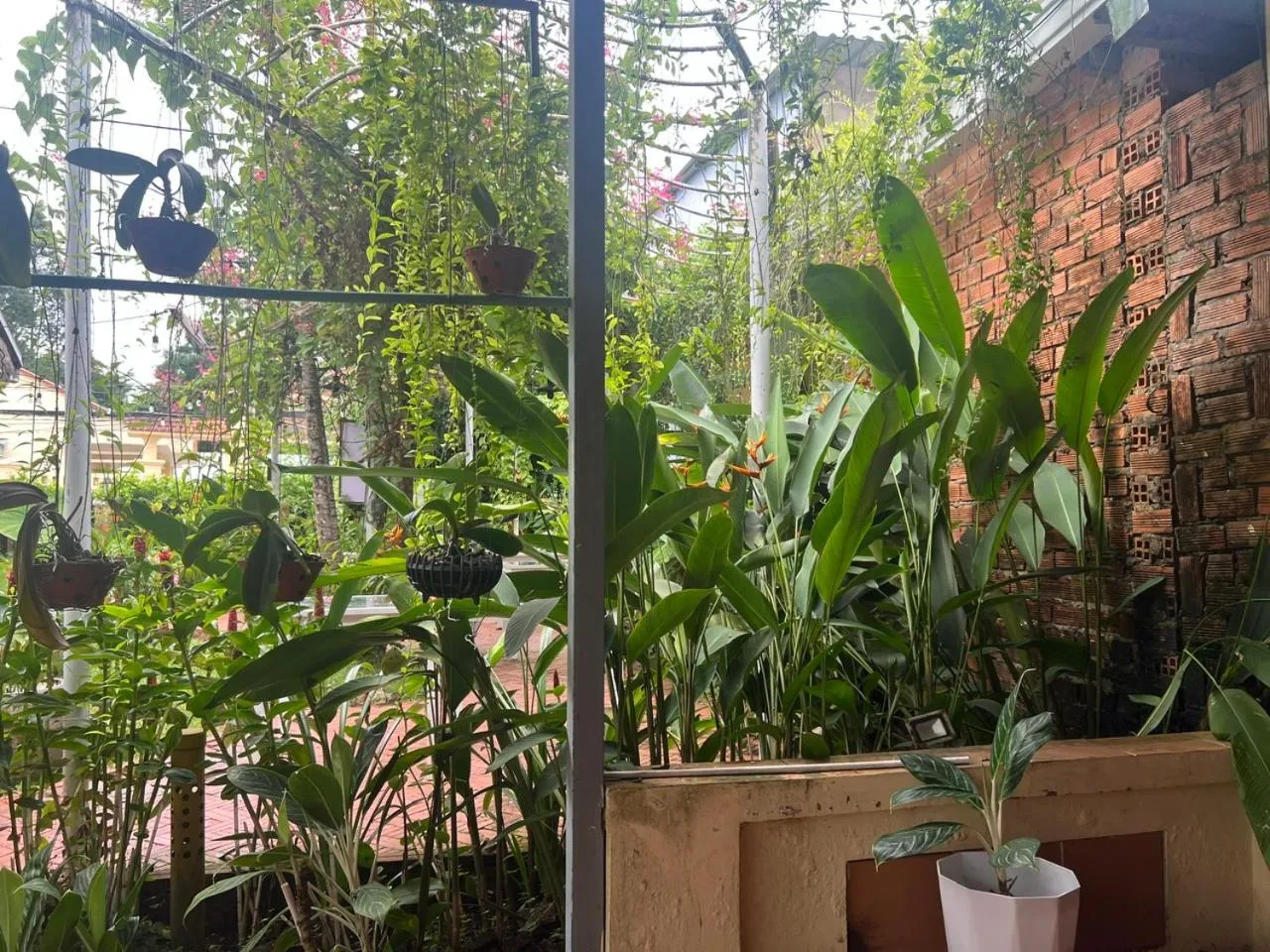 Tropical Garden Phu Quoc