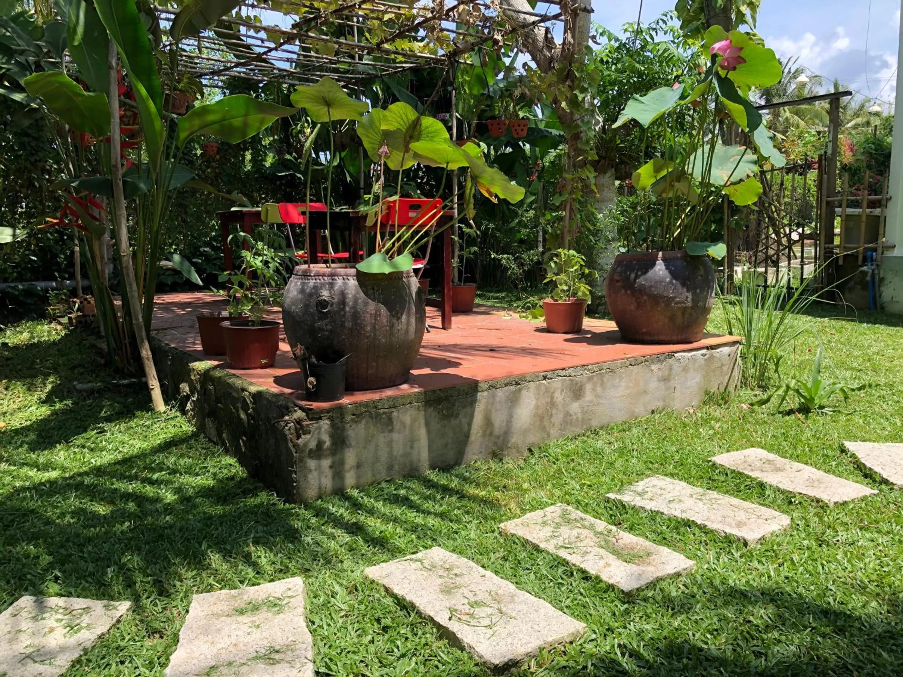 Garden in Tropical Garden Phu Quoc