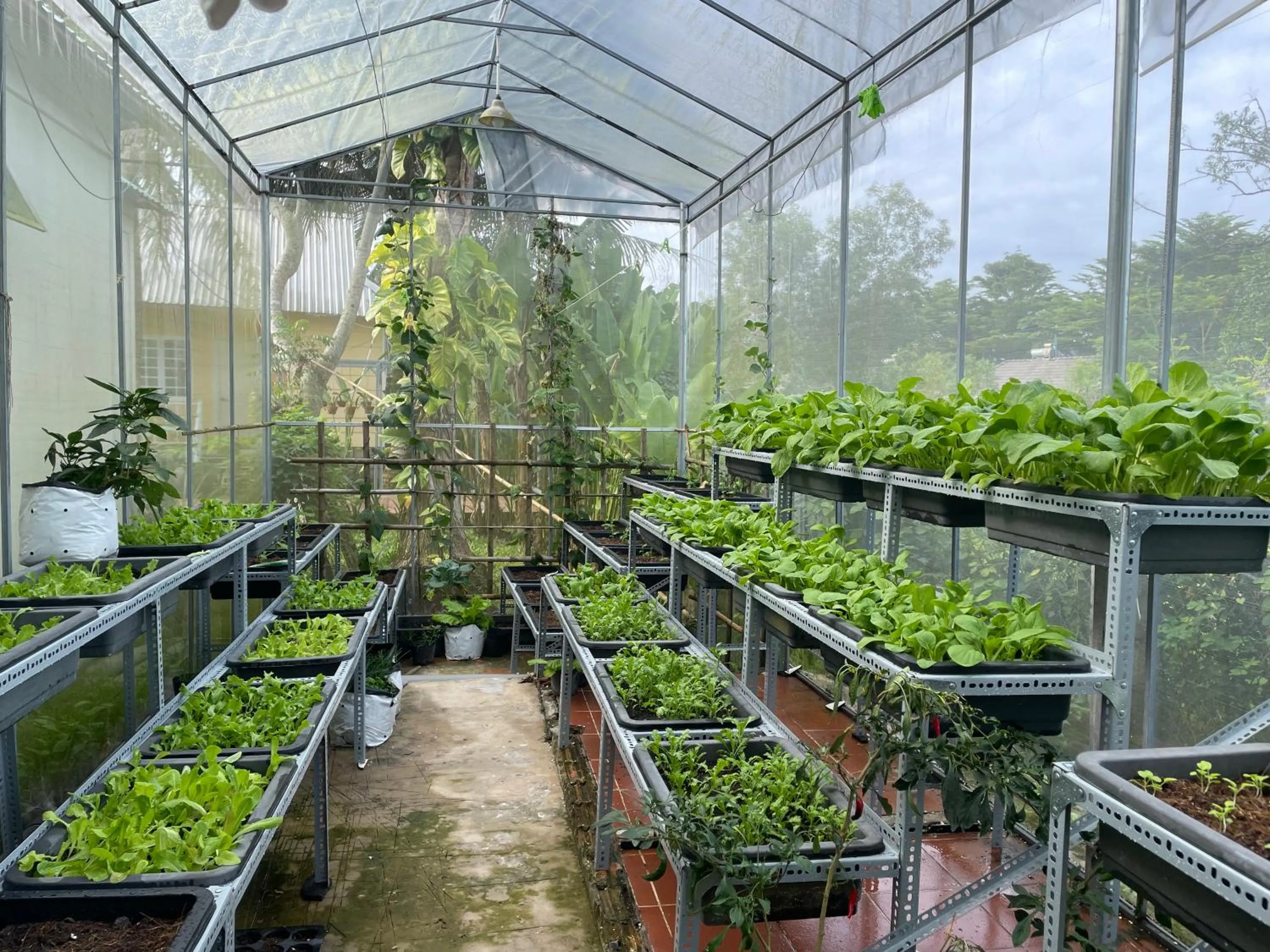 Garden in Tropical Garden Phu Quoc