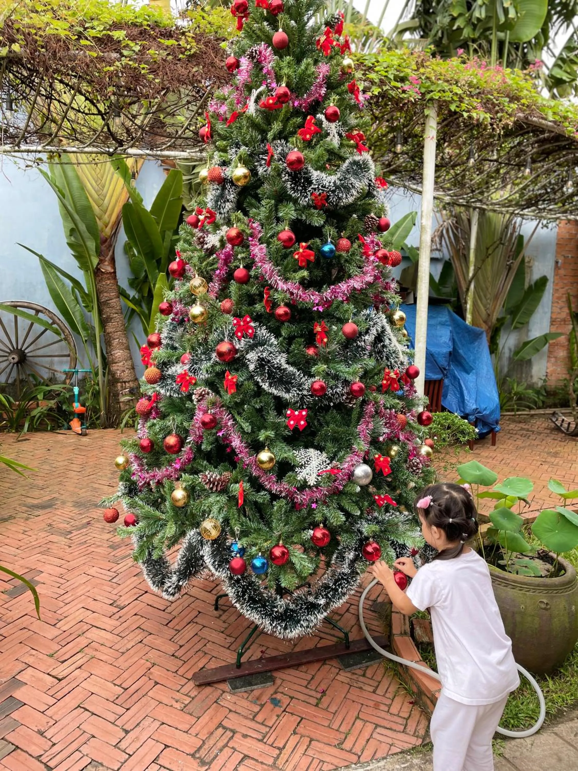 Garden in Tropical Garden Phu Quoc