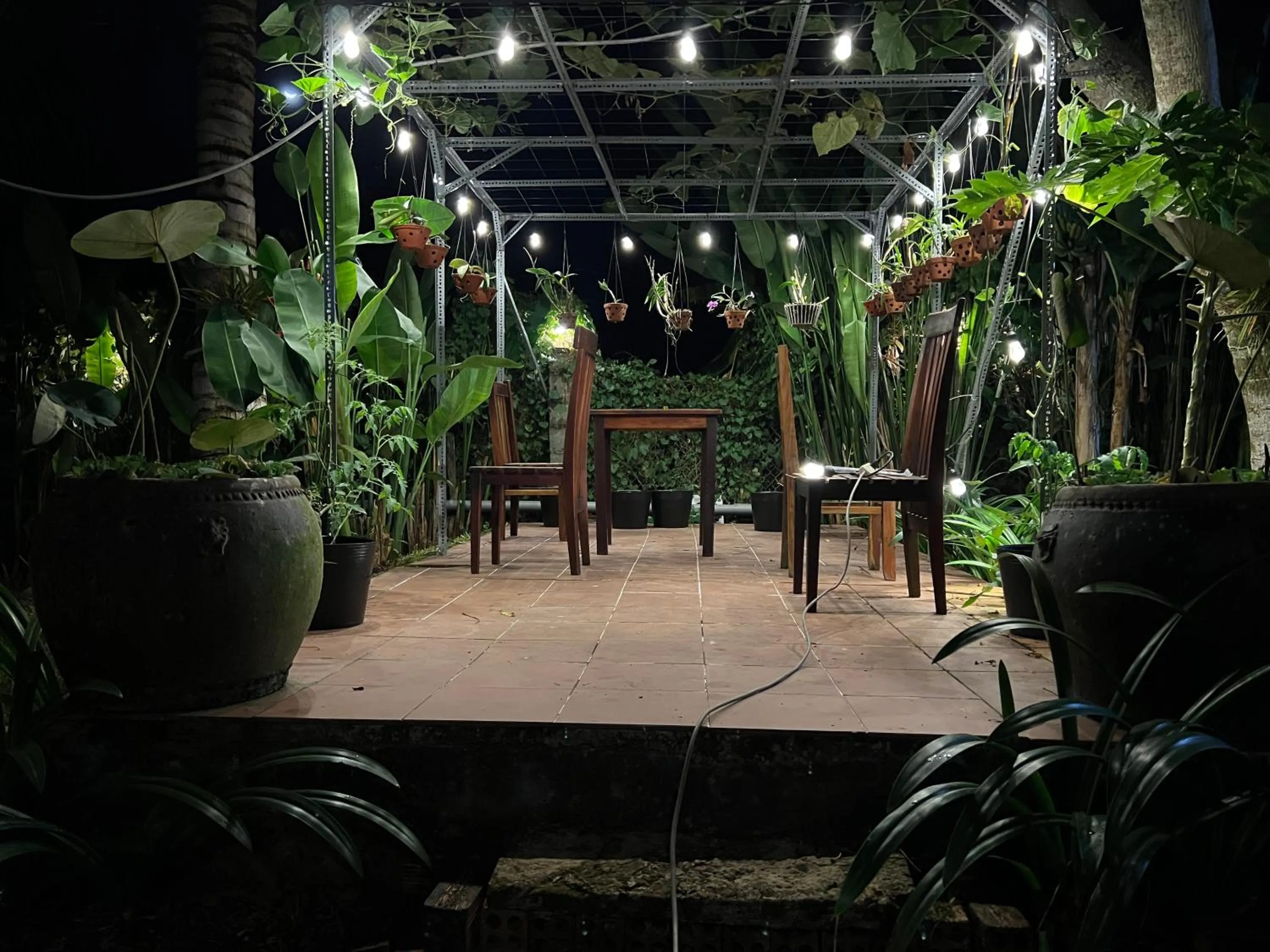Night in Tropical Garden Phu Quoc