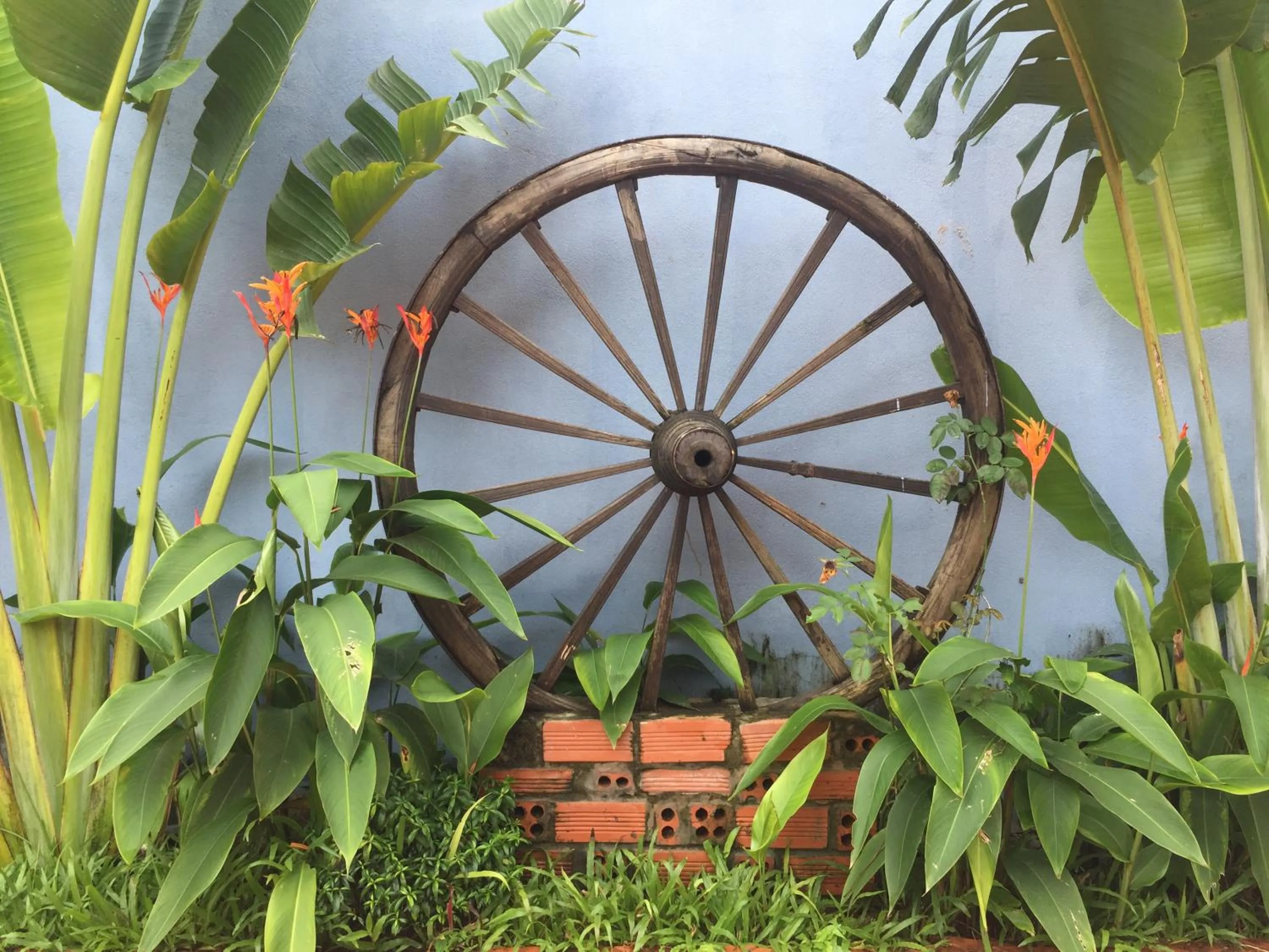 Natural landscape in Tropical Garden Phu Quoc