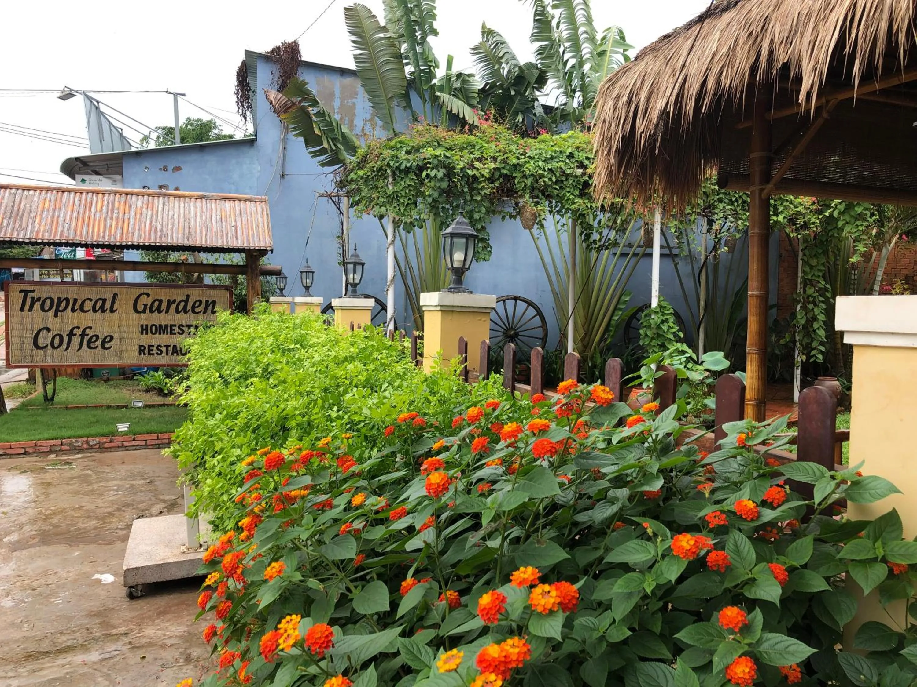 Garden in Tropical Garden Phu Quoc