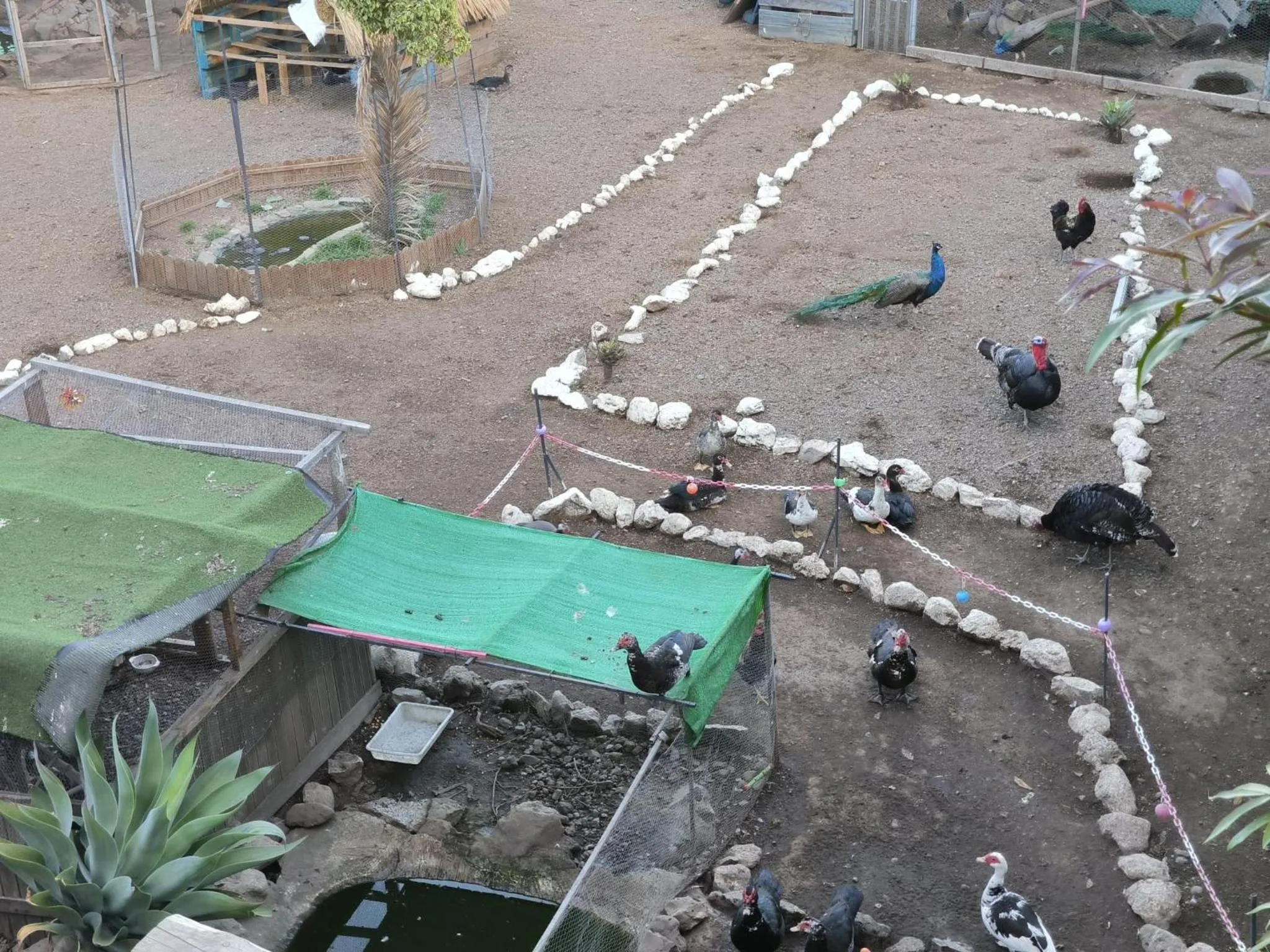 Children play ground in Hotel Rural La Raya 1866