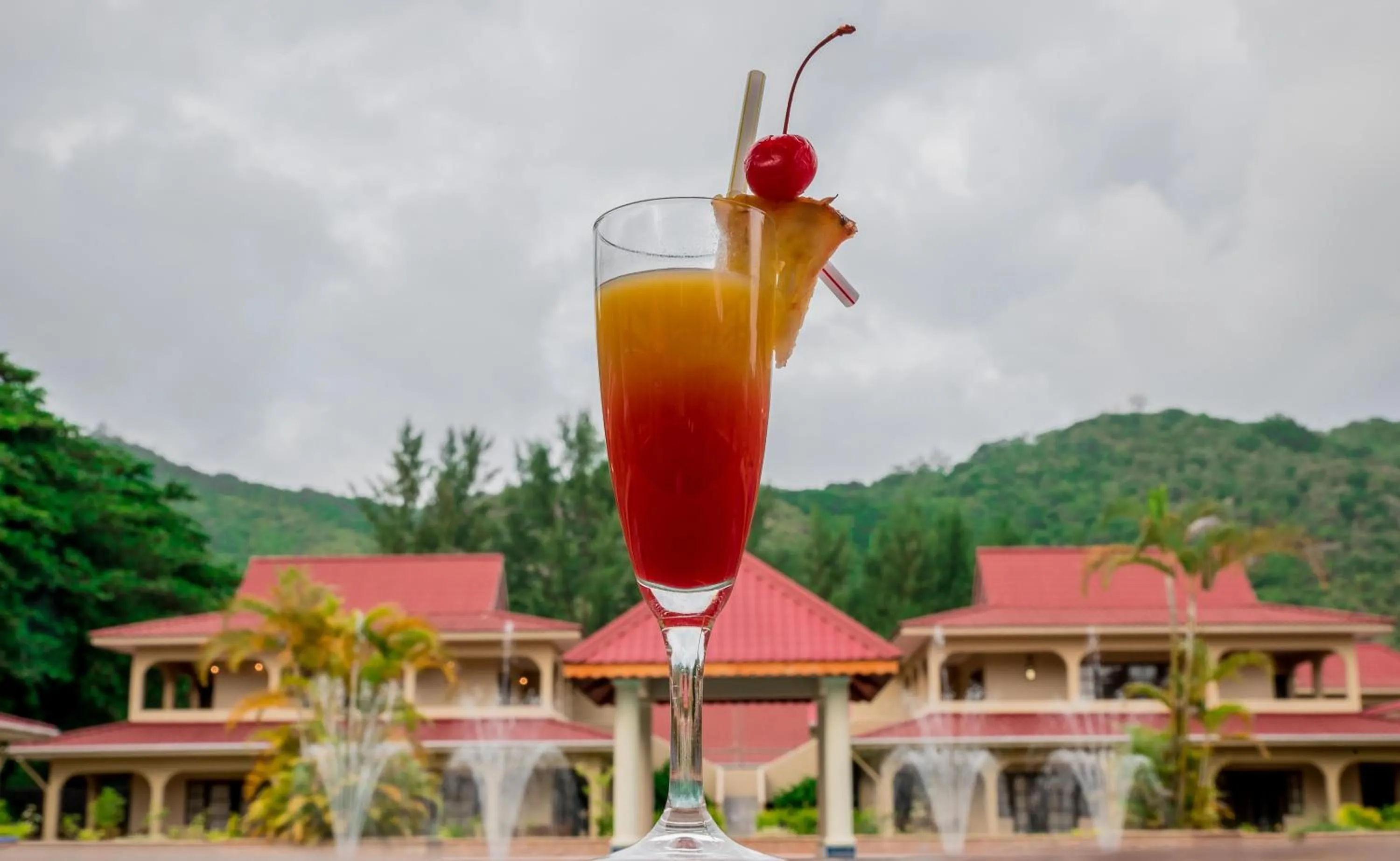 Alcoholic drinks in Oasis Hotel Restaurant & Spa