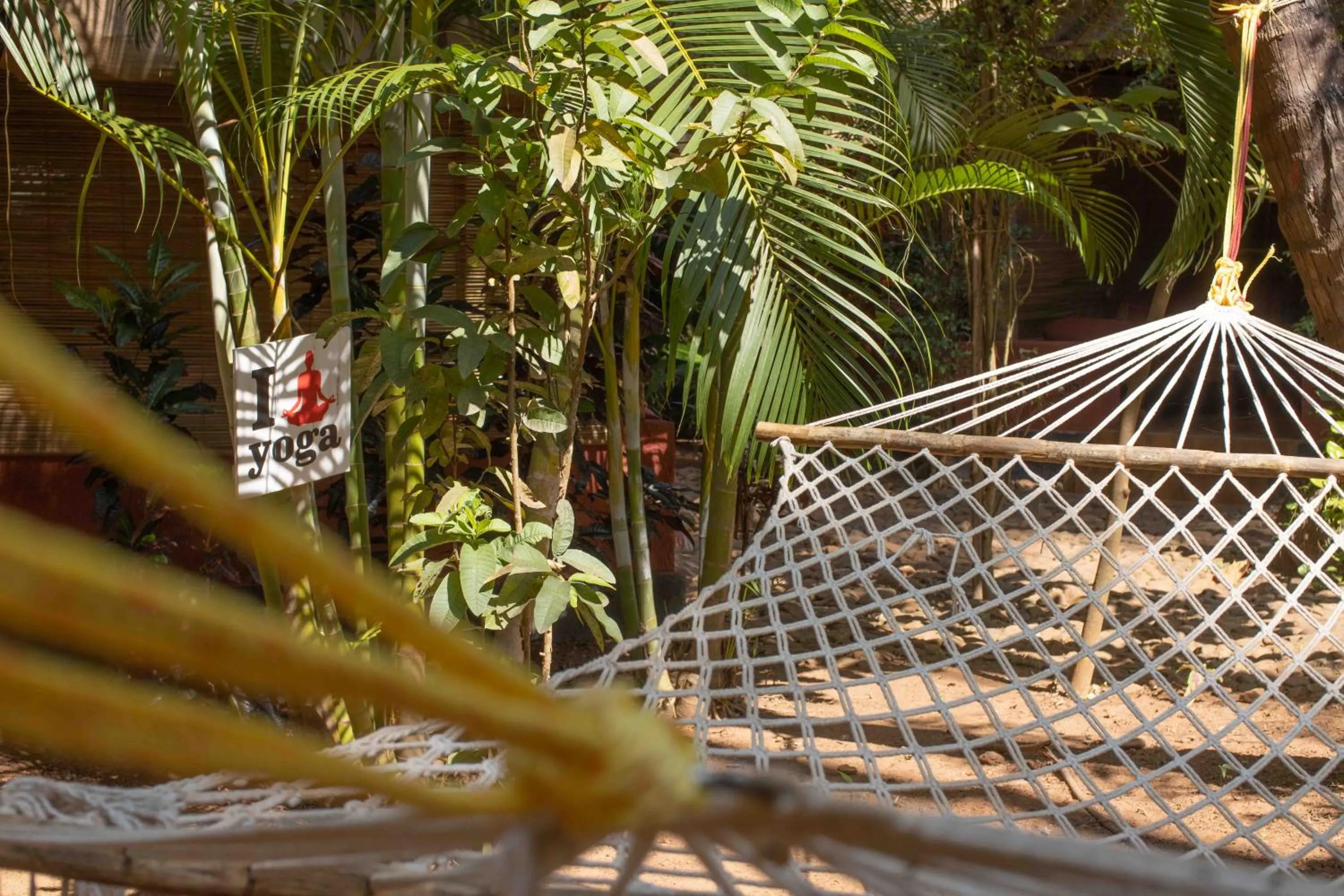 Garden view in Palm Trees Ayurvedic Heritage