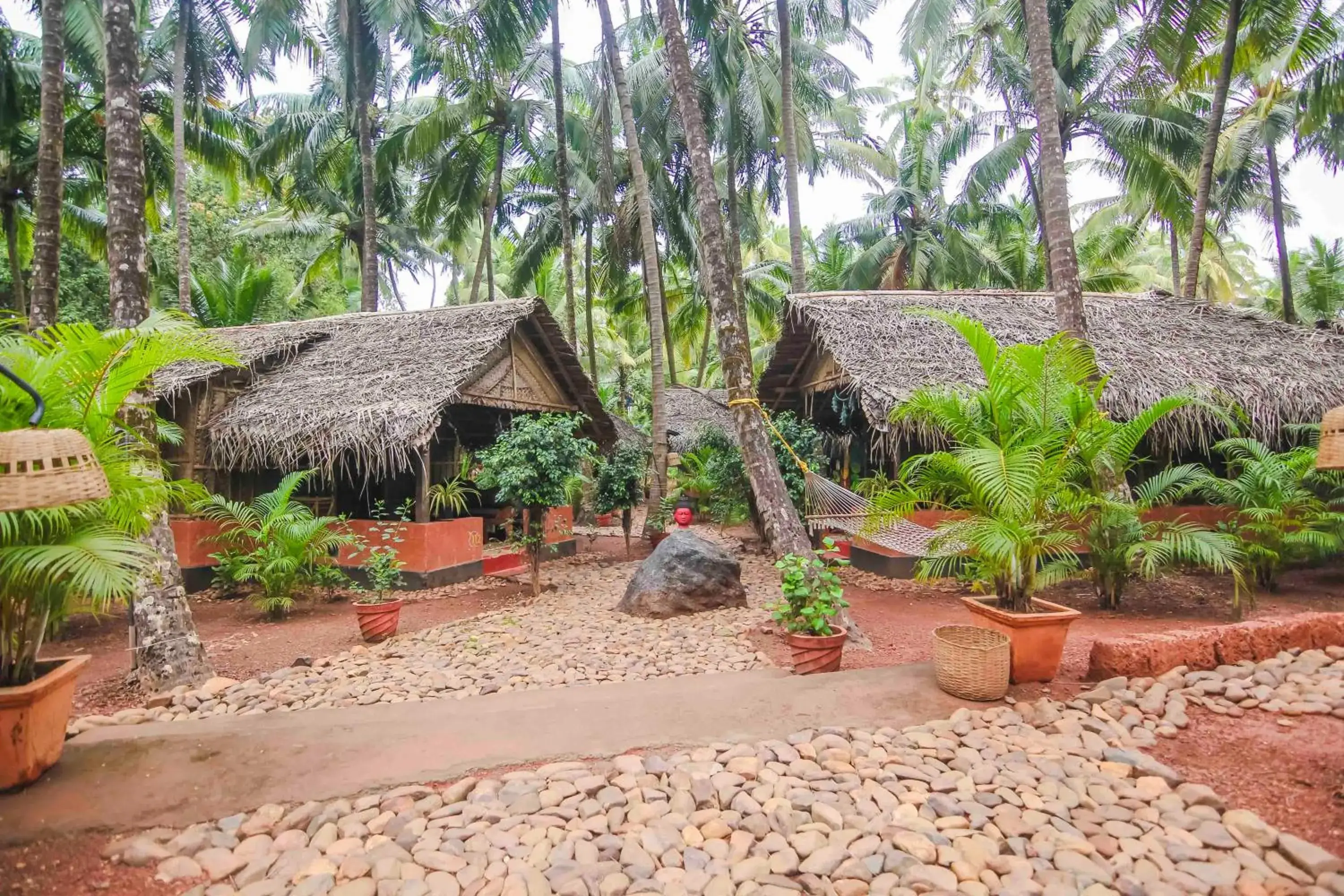 Bird's eye view in Palm Trees Ayurvedic Heritage Bird's eye view in Palm Trees Ayurvedic Heritage