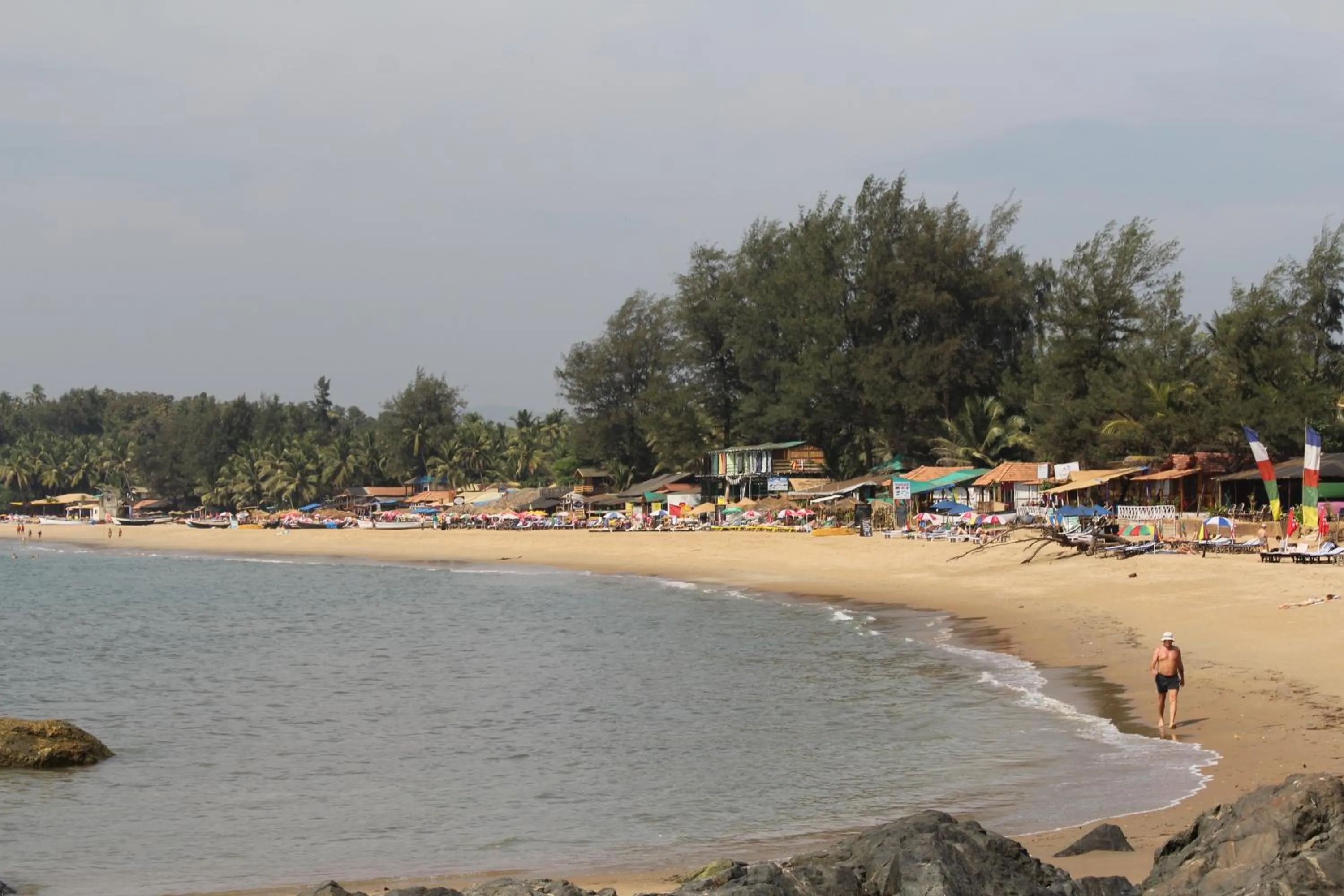 Beach in Palm Trees Ayurvedic Heritage