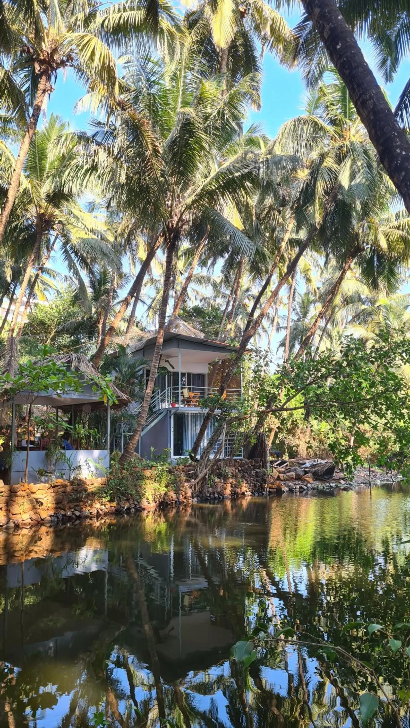 River view in Palm Trees Ayurvedic Heritage