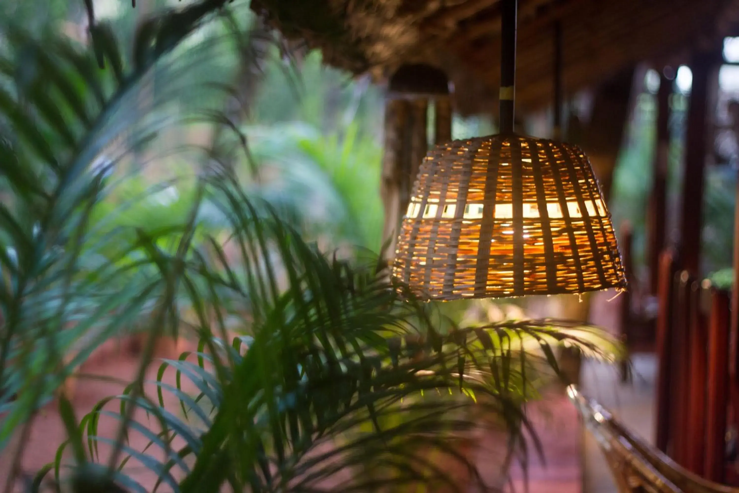 Facade/entrance in Palm Trees Ayurvedic Heritage Facade/entrance in Palm Trees Ayurvedic Heritage