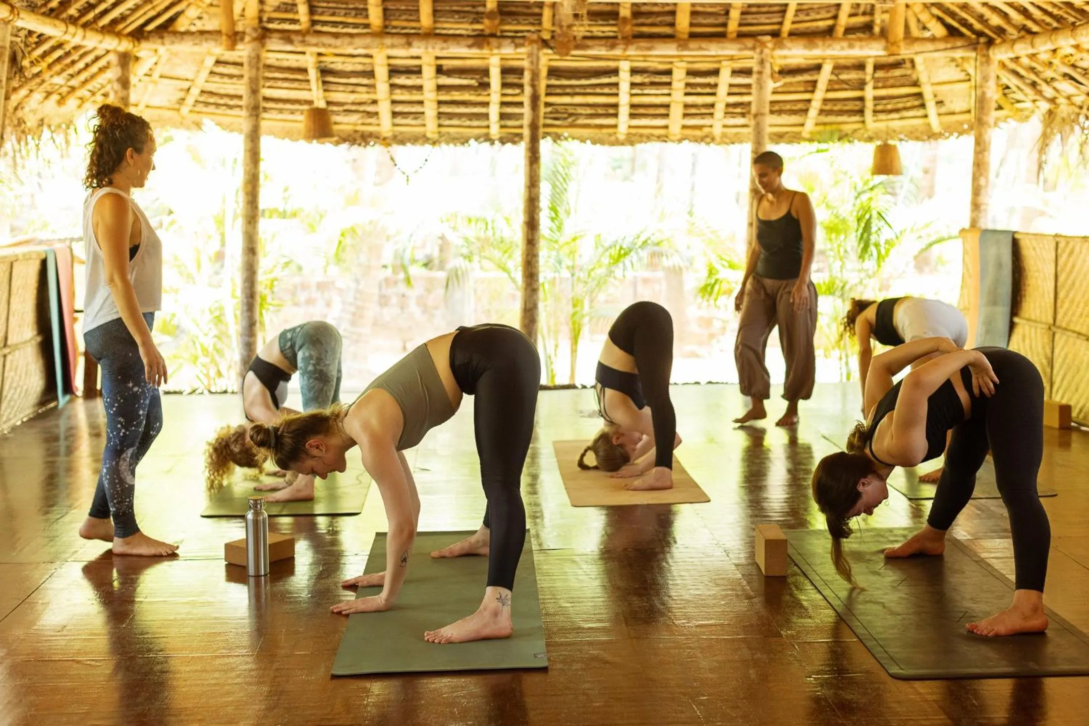 Activities in Palm Trees Ayurvedic Heritage