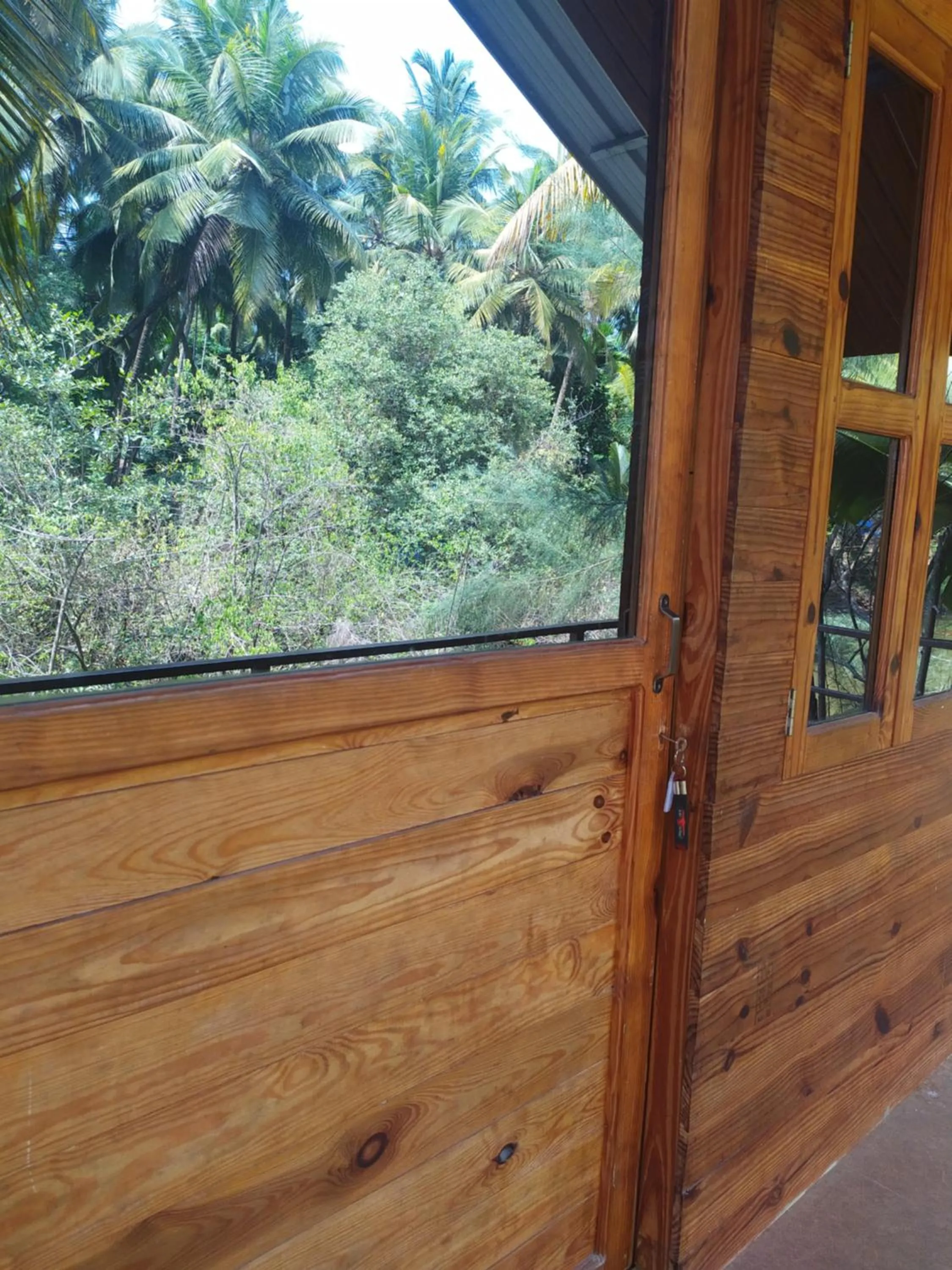 Day in Palm Trees Ayurvedic Heritage