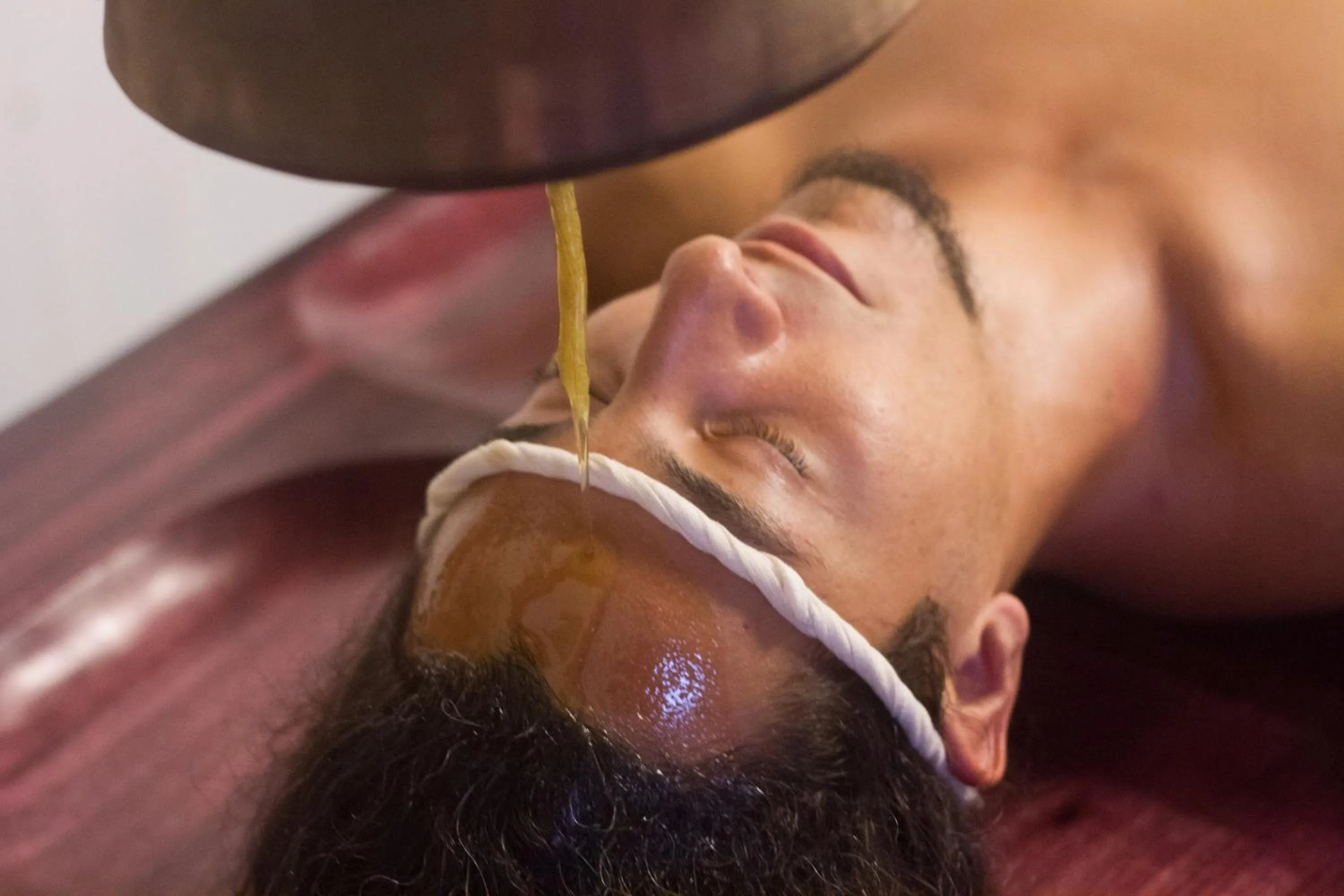 Guests in Palm Trees Ayurvedic Heritage