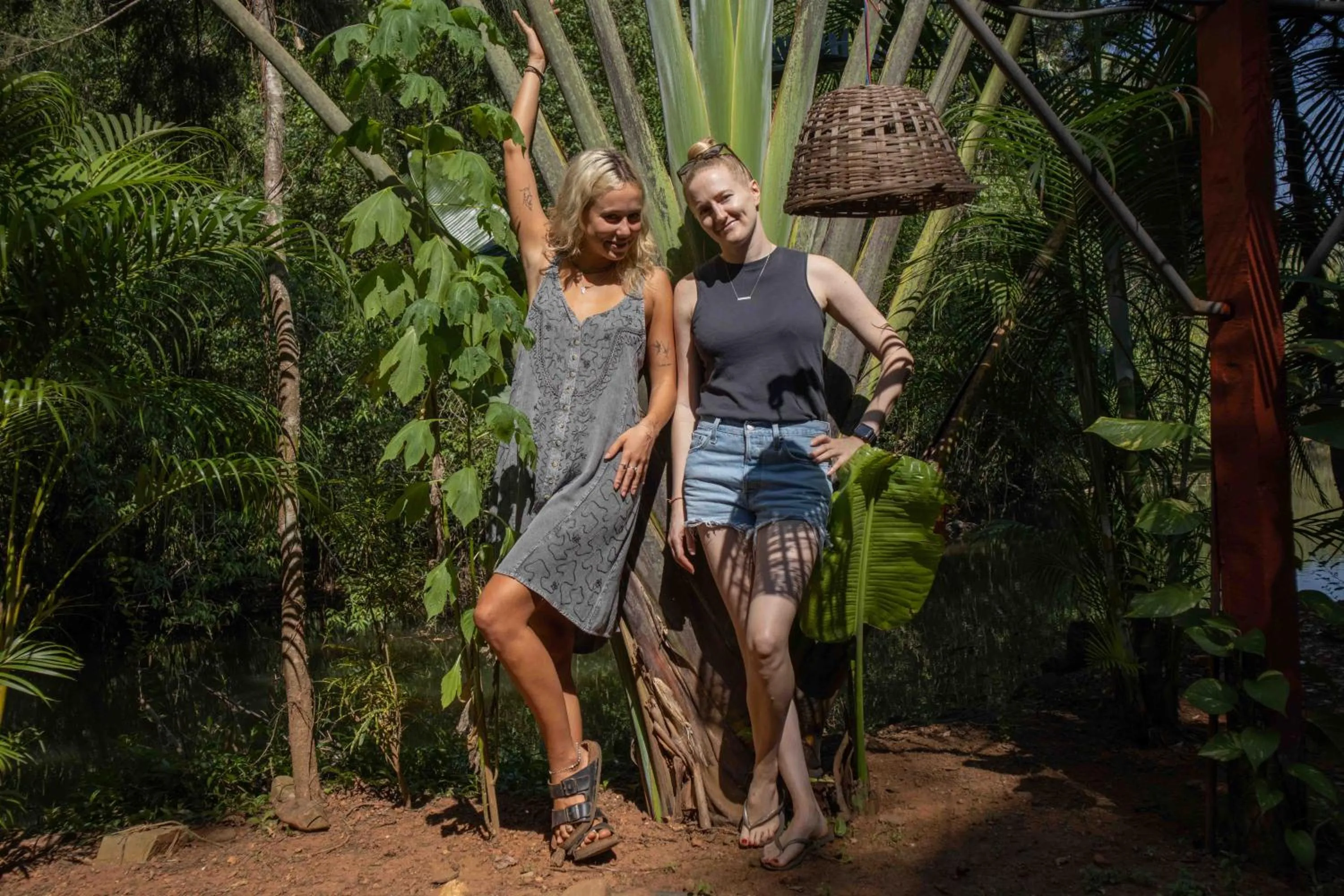 Garden in Palm Trees Ayurvedic Heritage