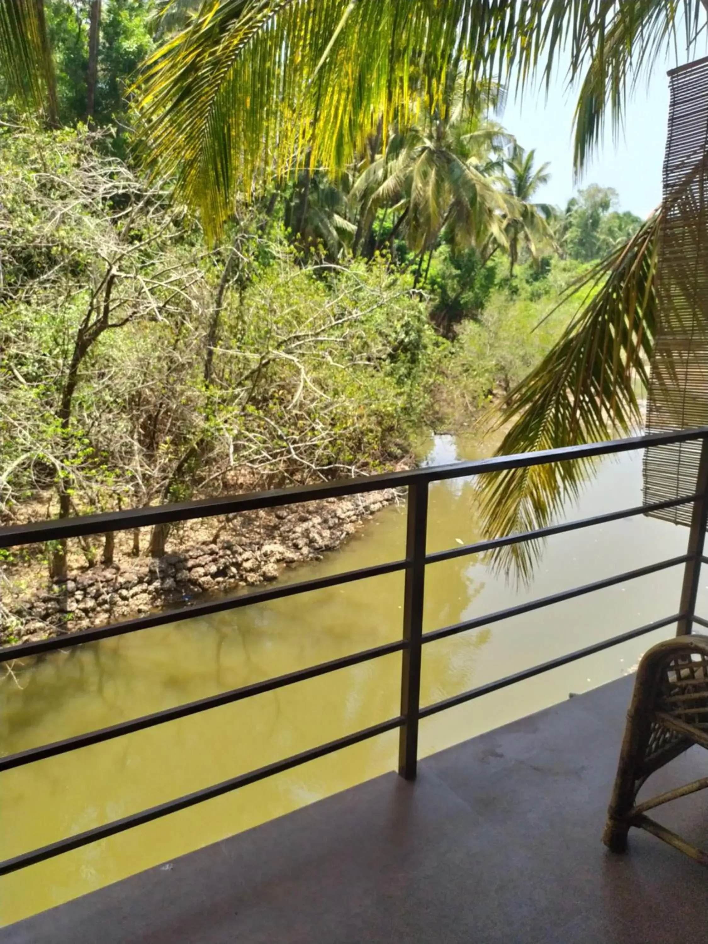 Lake view in Palm Trees Ayurvedic Heritage Lake view in Palm Trees Ayurvedic Heritage