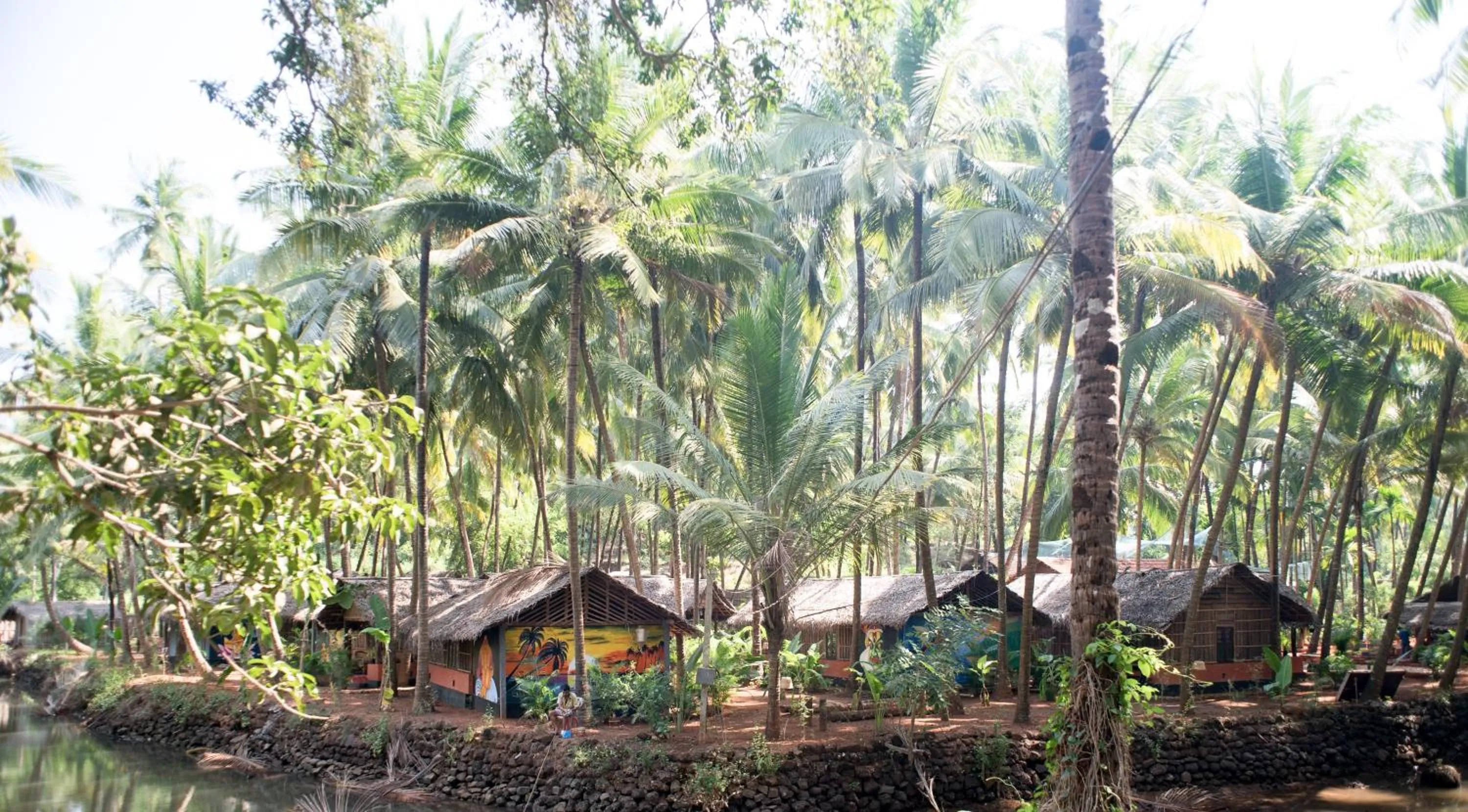 Garden view in Palm Trees Ayurvedic Heritage