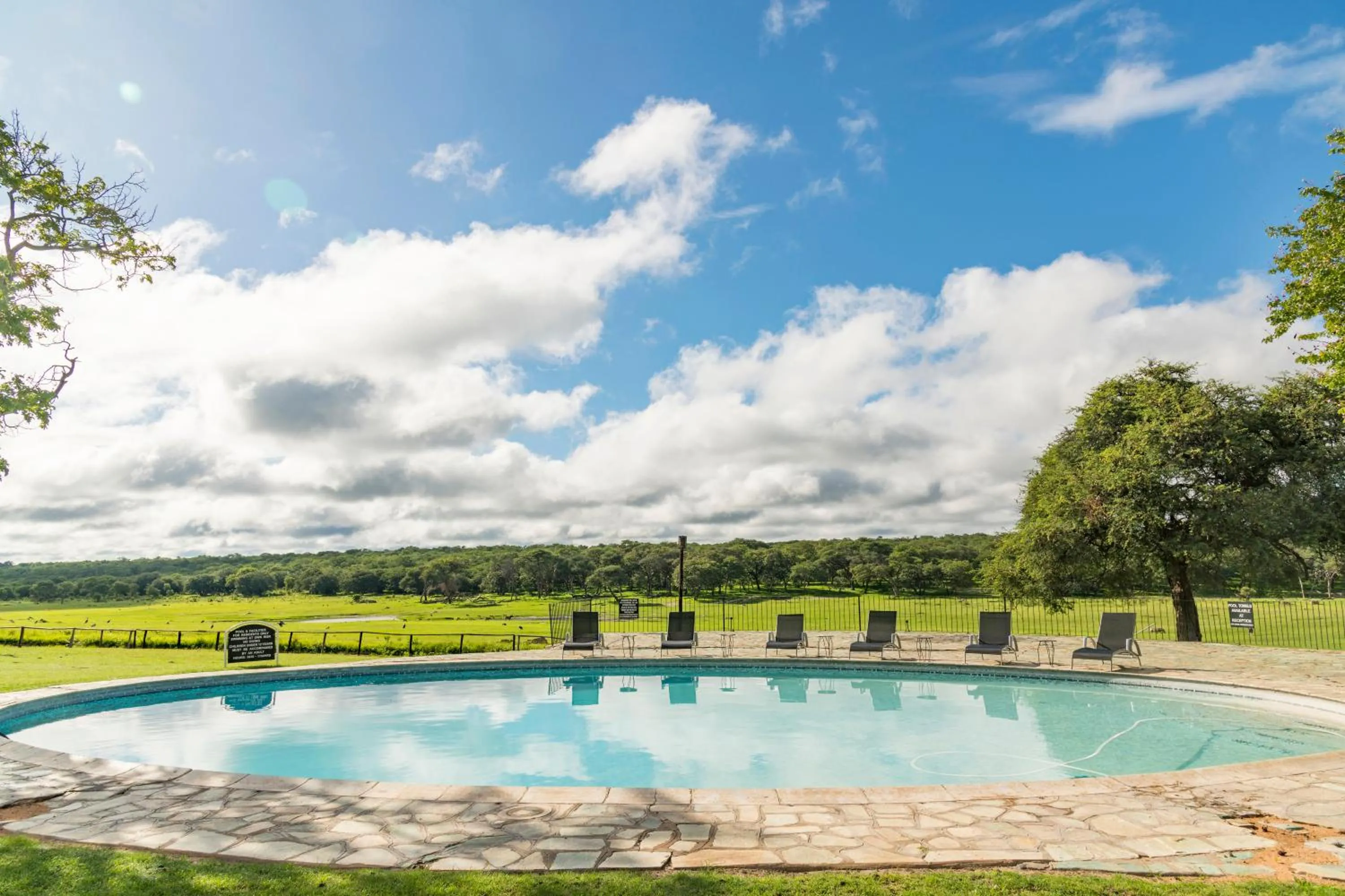 Swimming pool in Hwange Safari Lodge