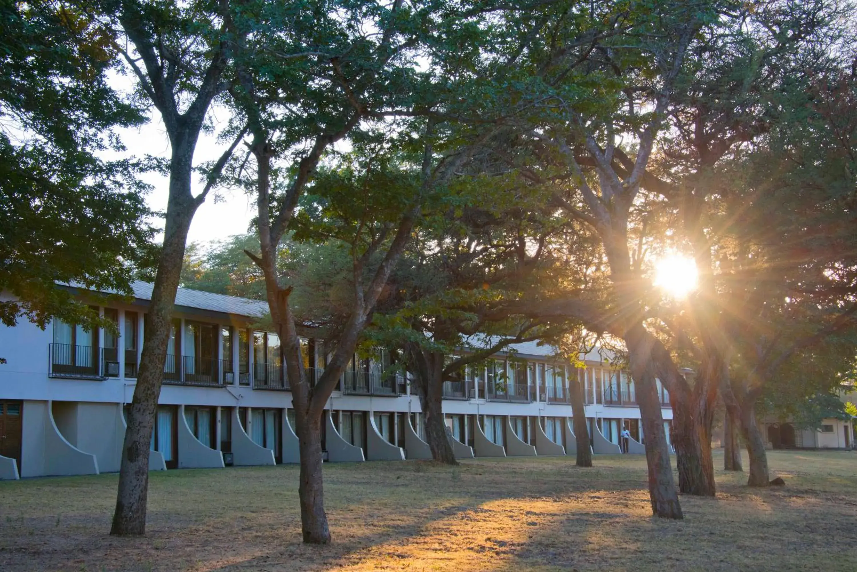 Property building in Hwange Safari Lodge Property building in Hwange Safari Lodge